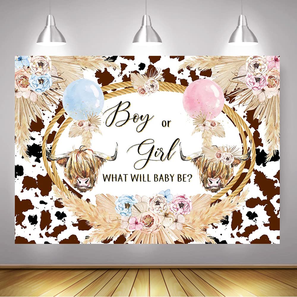 Mocsicka Highland Cow Gender Reveal Backdrop Boho Highland Cow Boy Or Girl Party Decorations Holy Cow Gender Reveal Cake Table B