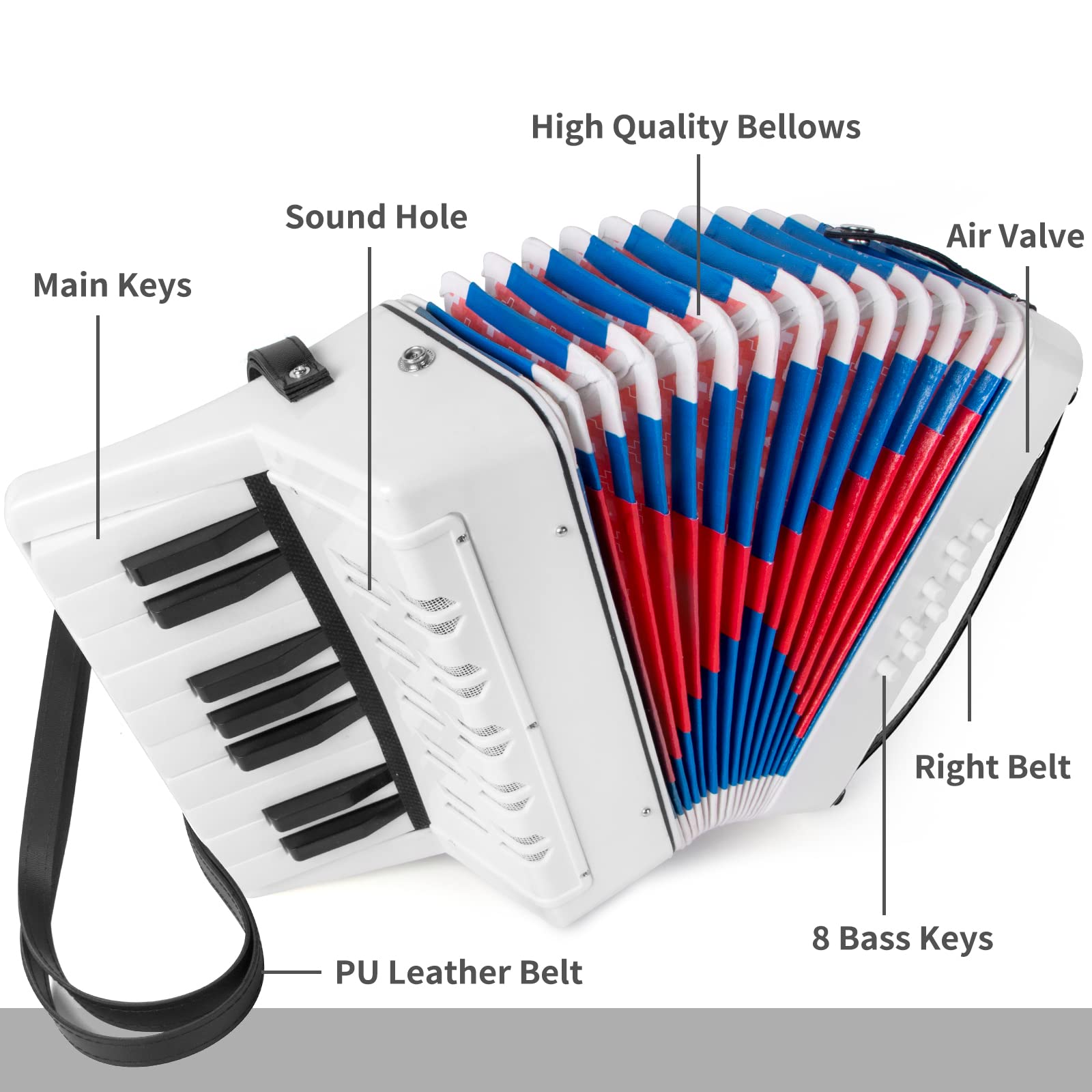 Accordion, 17 Keys Piano Accordion For Kids 8 Bass With Straps For Beginners Student Educational Musical Instrument (White)