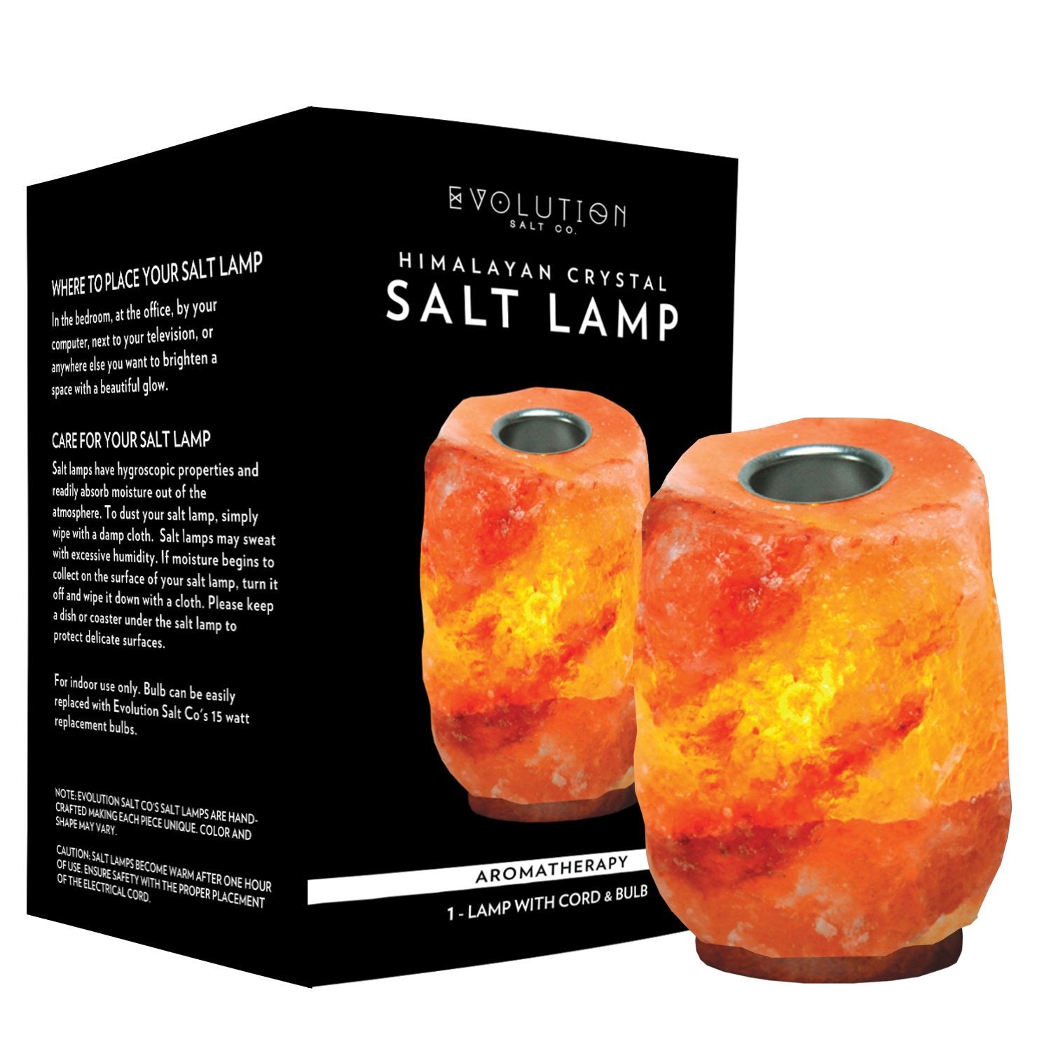 Evolution Salt Crystal Aromatherapy Lamp