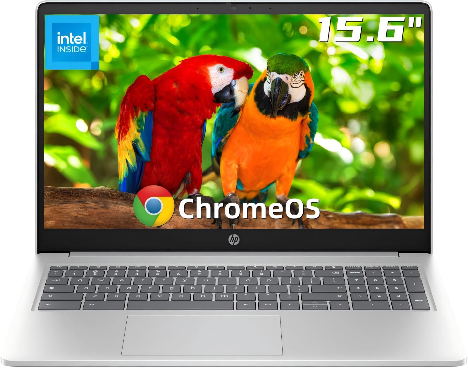 Hp 15.6'' Chromebook Laptop, Intel Processor N200, 8Gb Ram, 64Gb Emmc, Hd Anti-Glare Display, Uhd Graphics, Long Battery Life, W