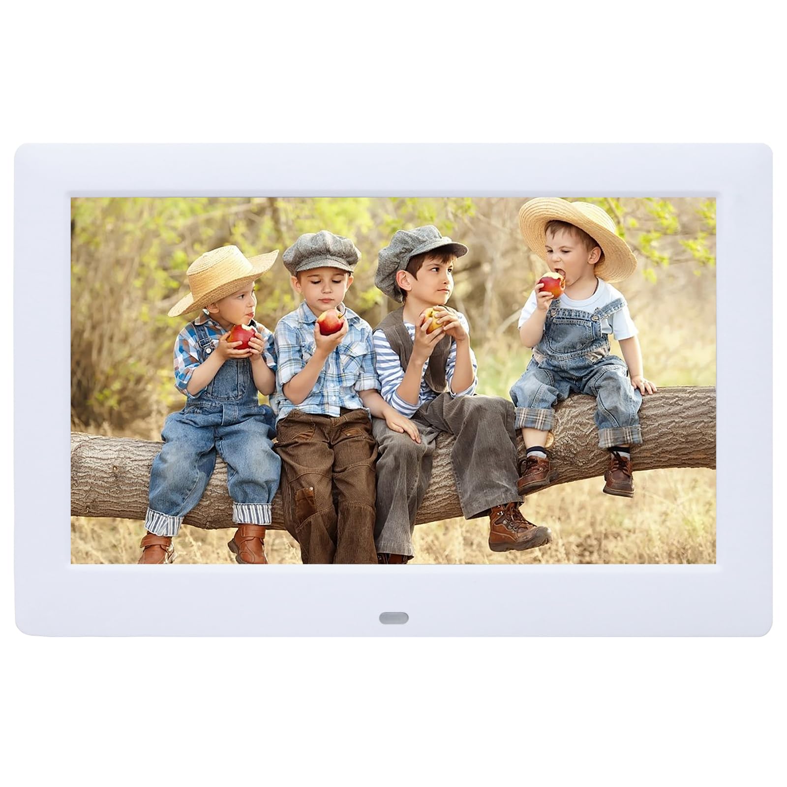 10 Inch Digital Picture Frame,Digital Photo Frames,Photo Video Player With Remote Control,Support Background Music,Multi Slidesh
