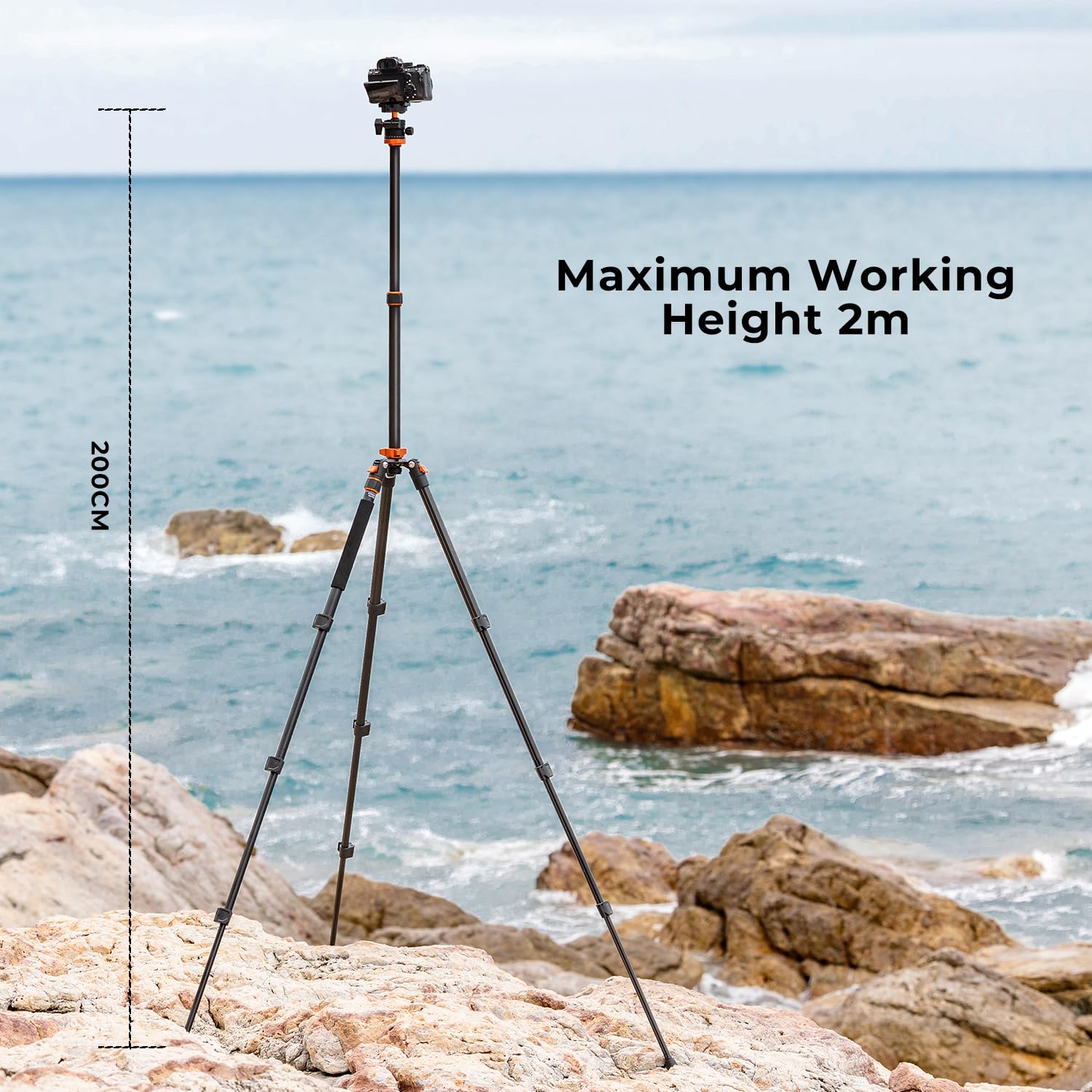 K&F Concept 78 Inch Camera Tripod For Dslr Compact Aluminum Tripod With 360 Degree Ball Head And 10Kg Load For Travel And Work K234A7+Bh 28L (S210)