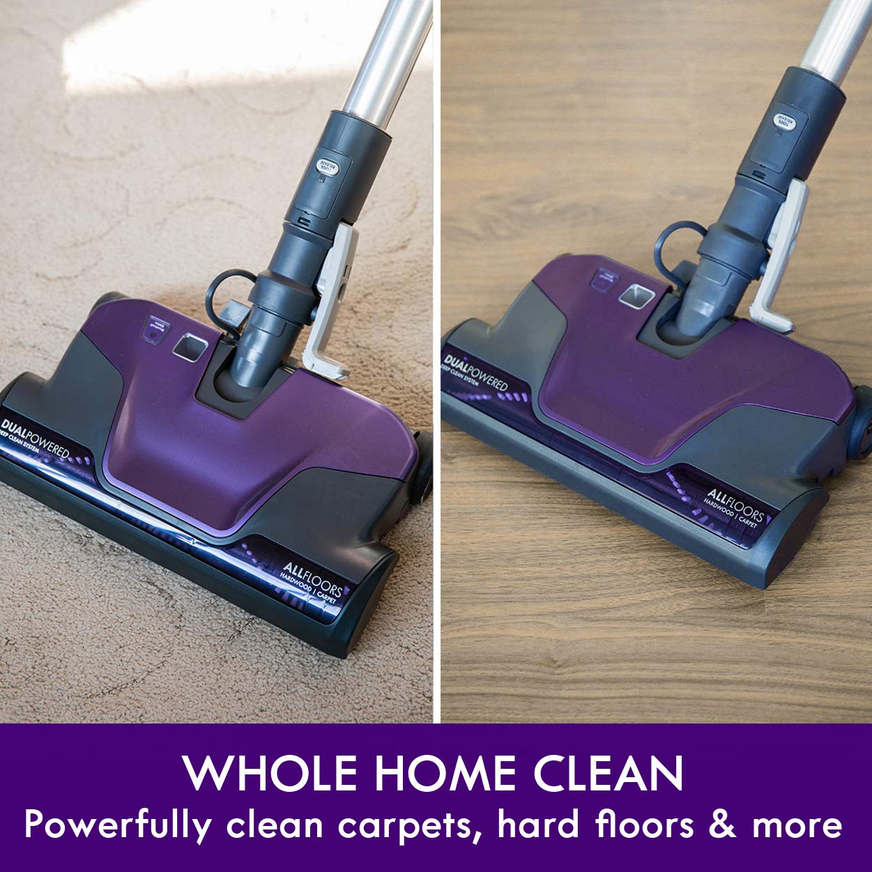 Kenmore 600 Series Pet Friendly Canister Vacuum, HEPA Filter, 2 Motors, Purple