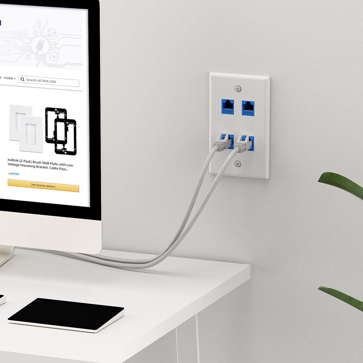 Iwillink (1 Pack) 4 Port Ethernet Wall Plate, Keystone Jack Wall Plate With Rj45 Keystone Inline Coupler Insert, Female To Femal
