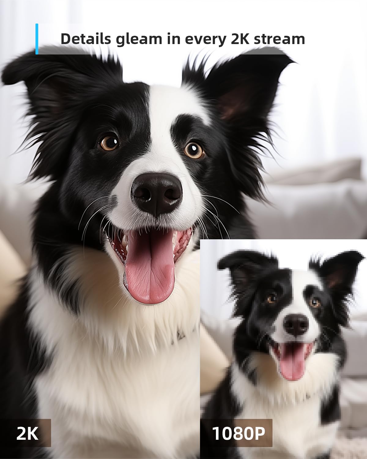 Blurams Security Camera, 2K Indoor Camera 360 Pet Camera For Home Security With Phone App, Motion Tracking, 2 Way Audio, Ir Nigh