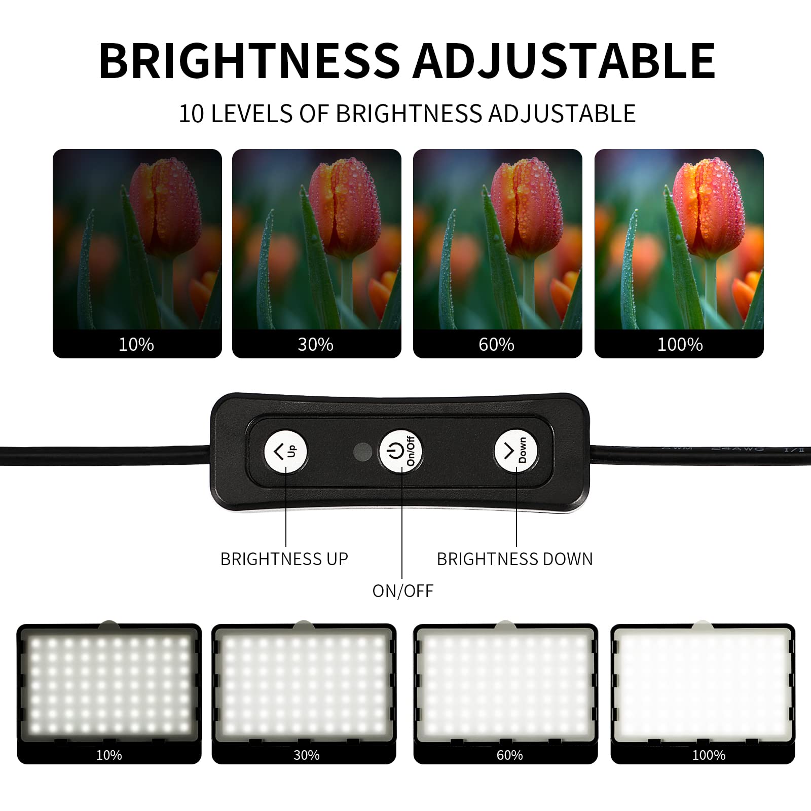 Photography Video Lighting Kit, Led Studio Streaming Lights W/70 Beads & Color Filter For Camera Photo Desktop Computer Conferen
