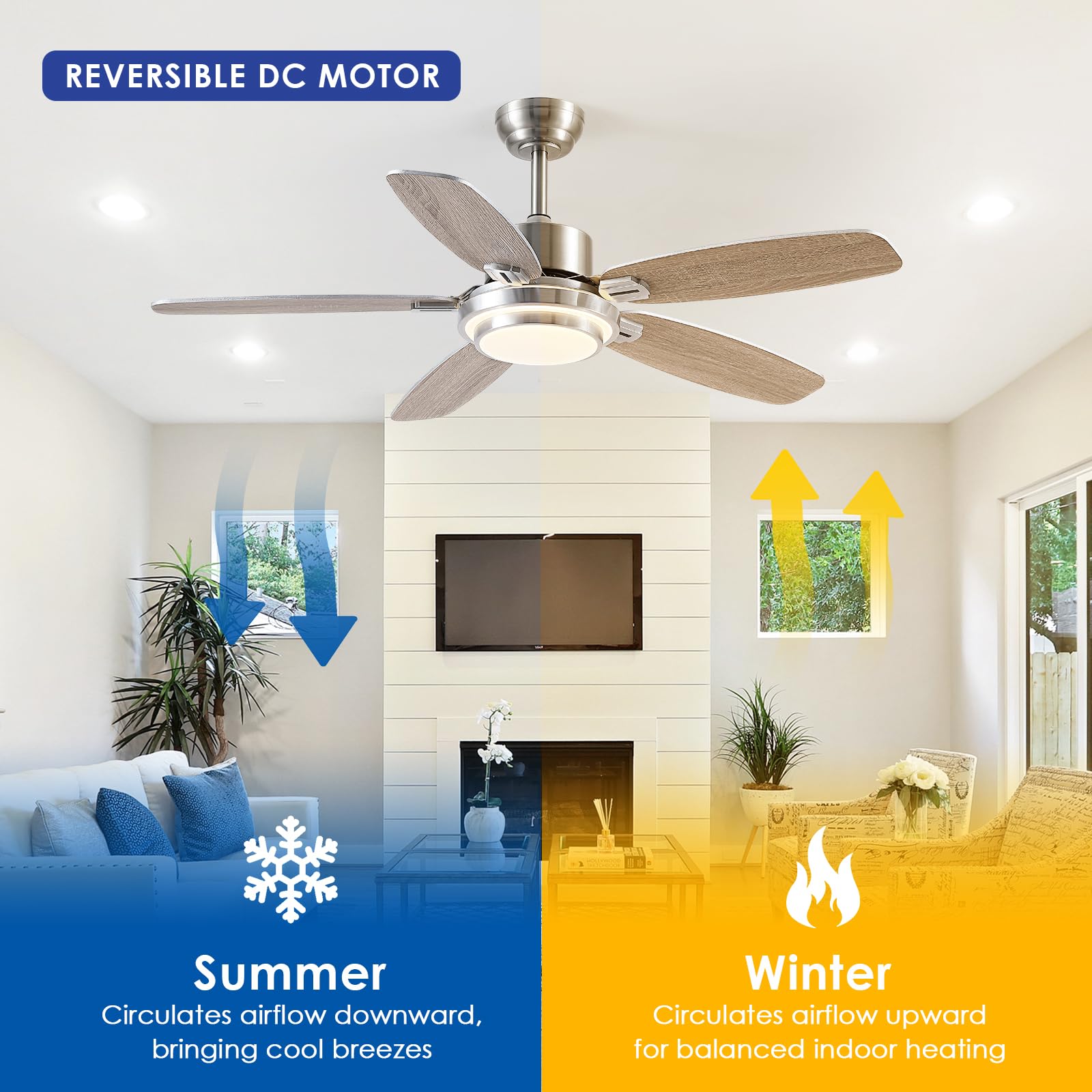 Ceiling Fans With Lights And Remote/App Control,50 Modern Ceiling Fan With Quiet Reversible Dc Motor, 5 Dual Finish Blades,Dimma