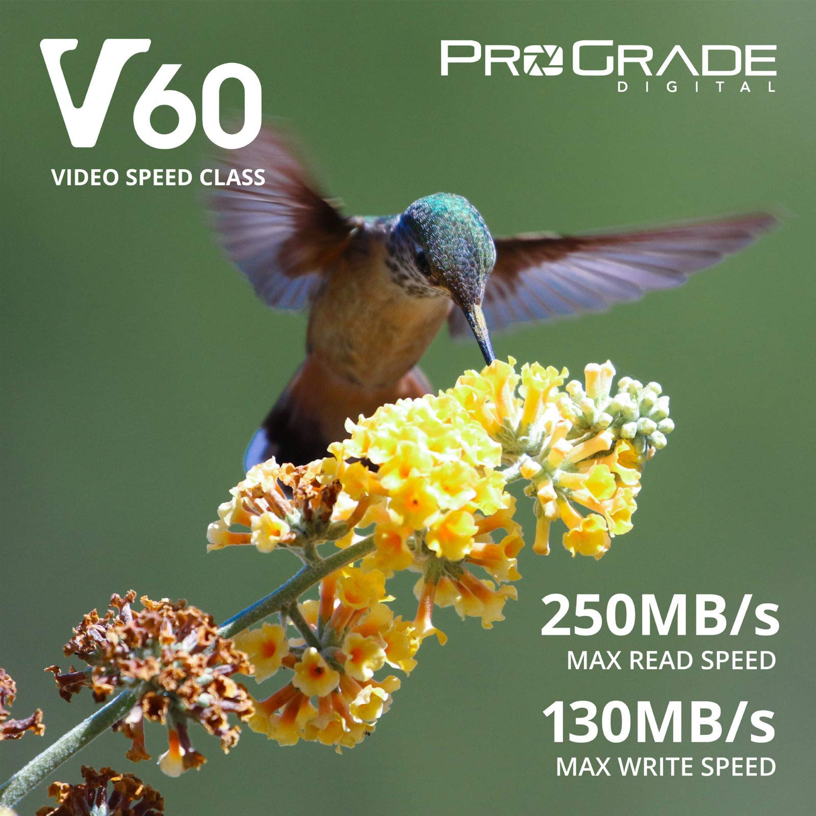 Sd Uhs Ii 256Gb Card V60  Up To 130Mb/S Write Speed And 250 Mb/S Read Speed | For Professional Vloggers, Filmmakers, Photographe