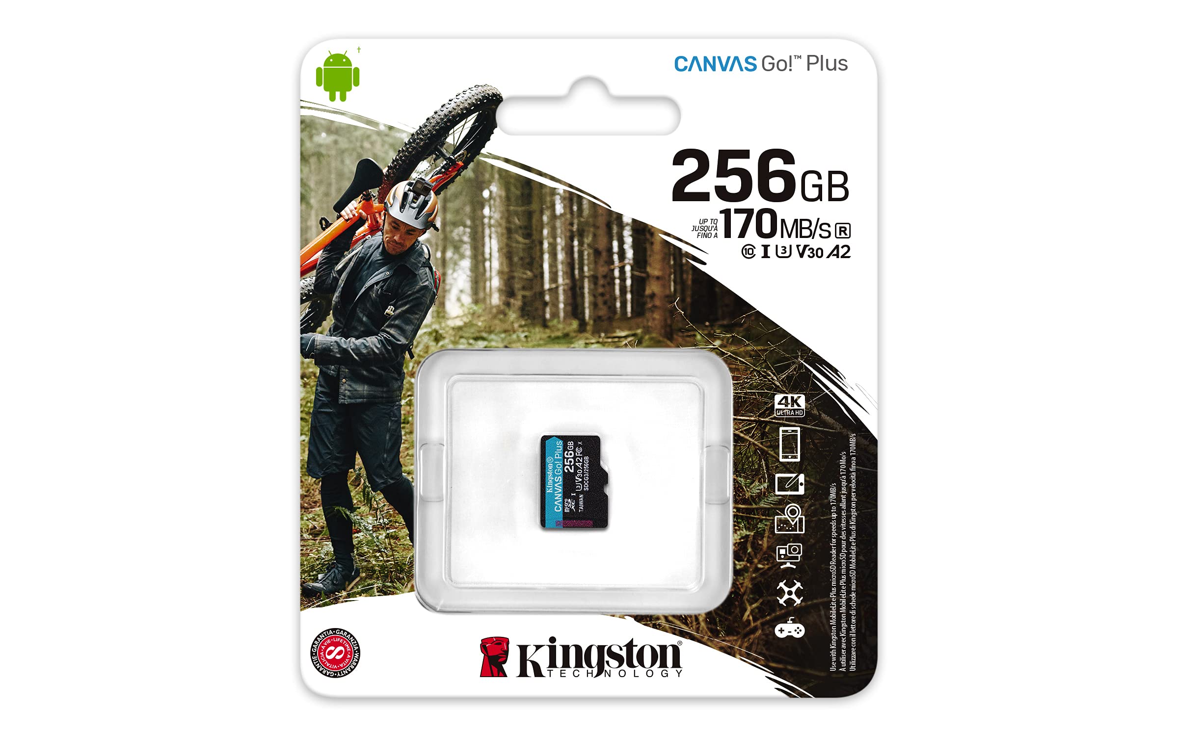 Kingston 256Gb Canvas Go Plus Sdxc Card | Up To 170Mb/S | Uhs-I, C10, U3, V30 | Sdg3/256Gb