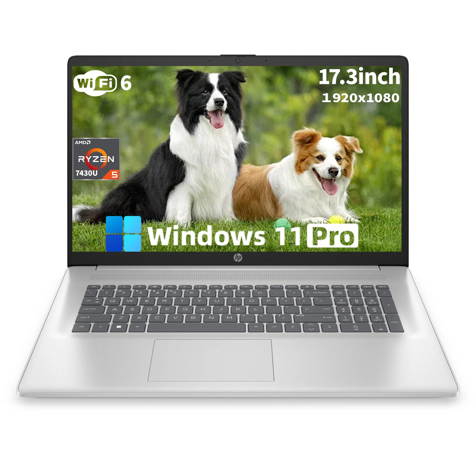 HP 17.3 Business Student Laptop Computer - AMD Ryzen 5 7430U 6-Core (4.3GHz), FHD IPS Anti-Glare, 64 GB RAM | 2 TB SSD, AMD Ra
