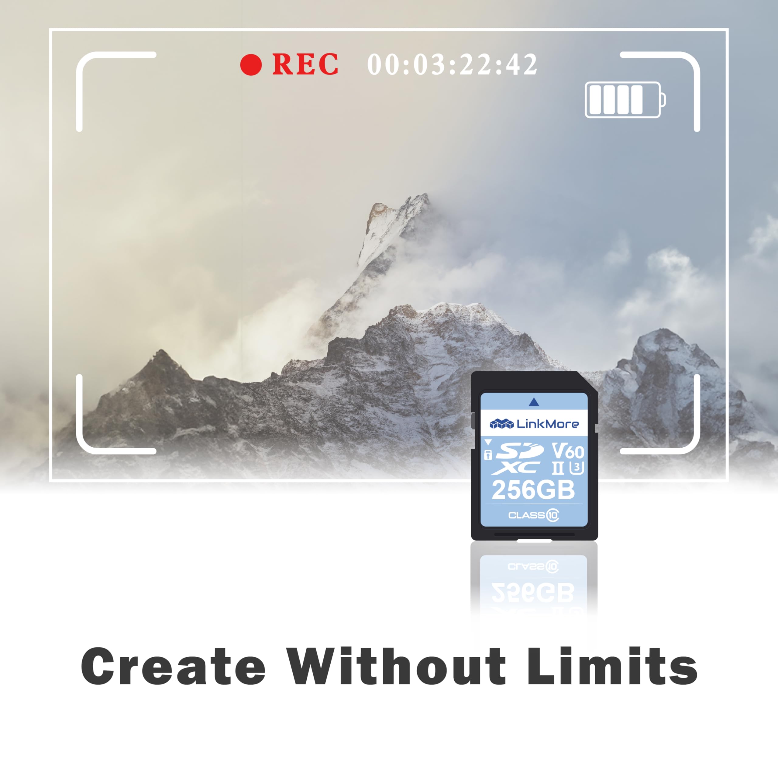 Linkmore Xv26 256Gb Sdxc Uhs Ii Card Uhs Ii Sd Card, C10, U3, V60, Sd Card For Digital Camera, Drone Support 4K 8K Video, Camera