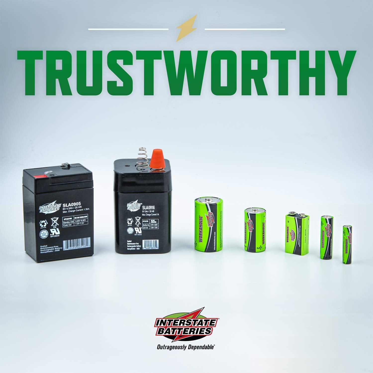 Interstate Batteries Aaa Alkaline Battery (24 Pack) All Purpose 1.5V High Performance Batteries   Workaholic (Dry0075)