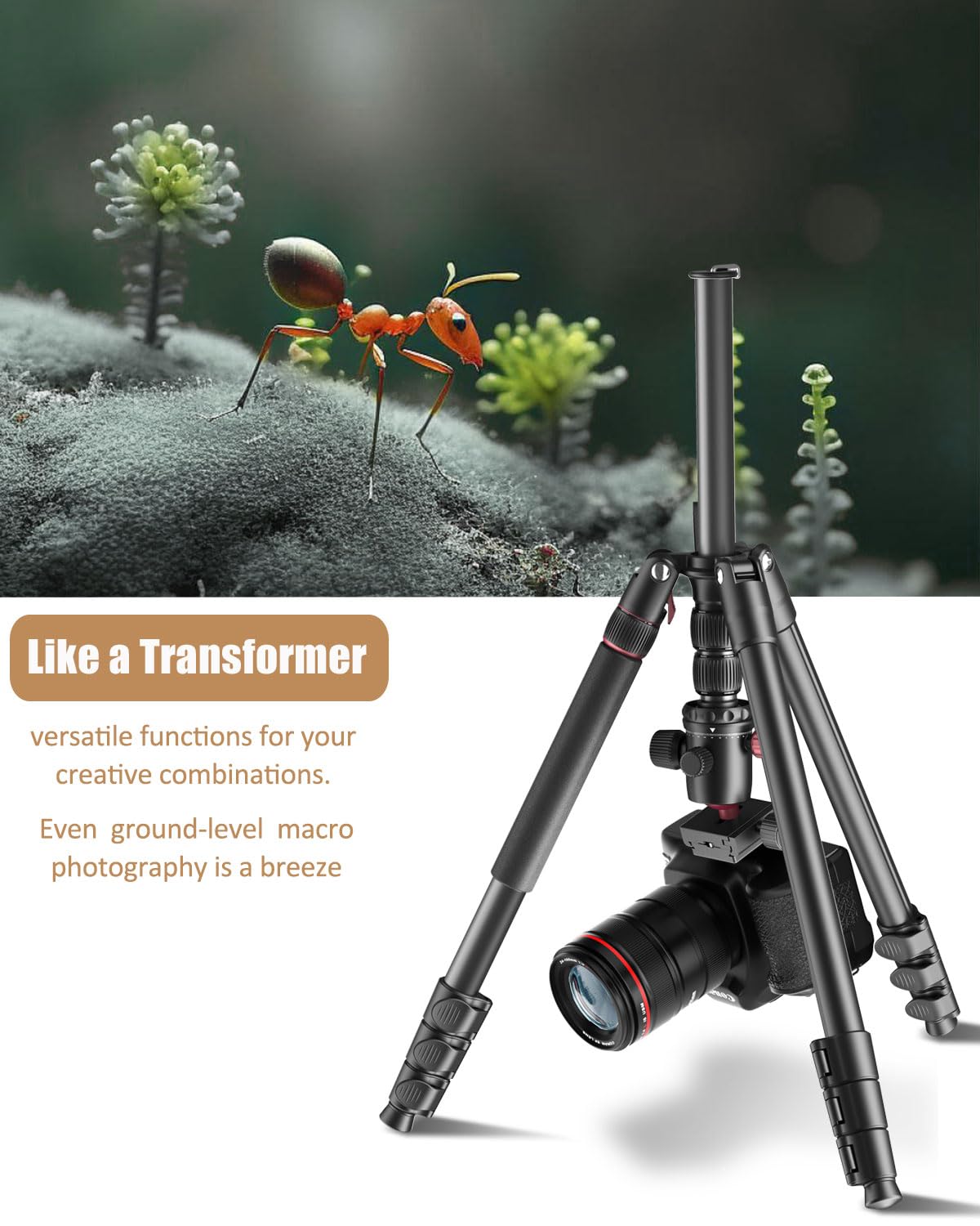 Cambofoto 80'' Professional Dslr Camera Tripod, Slr Ball Head Aluminum Photography Tri Pod & Monopod With Carry Bag Compatible W