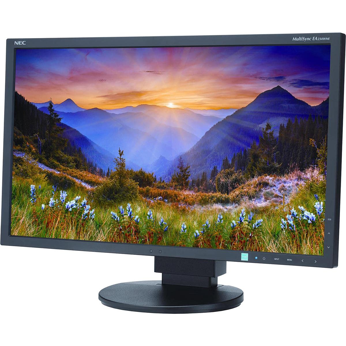 Nec Ea234Wmi Bk 23 Inch Screen Led Lit Monitor,Black
