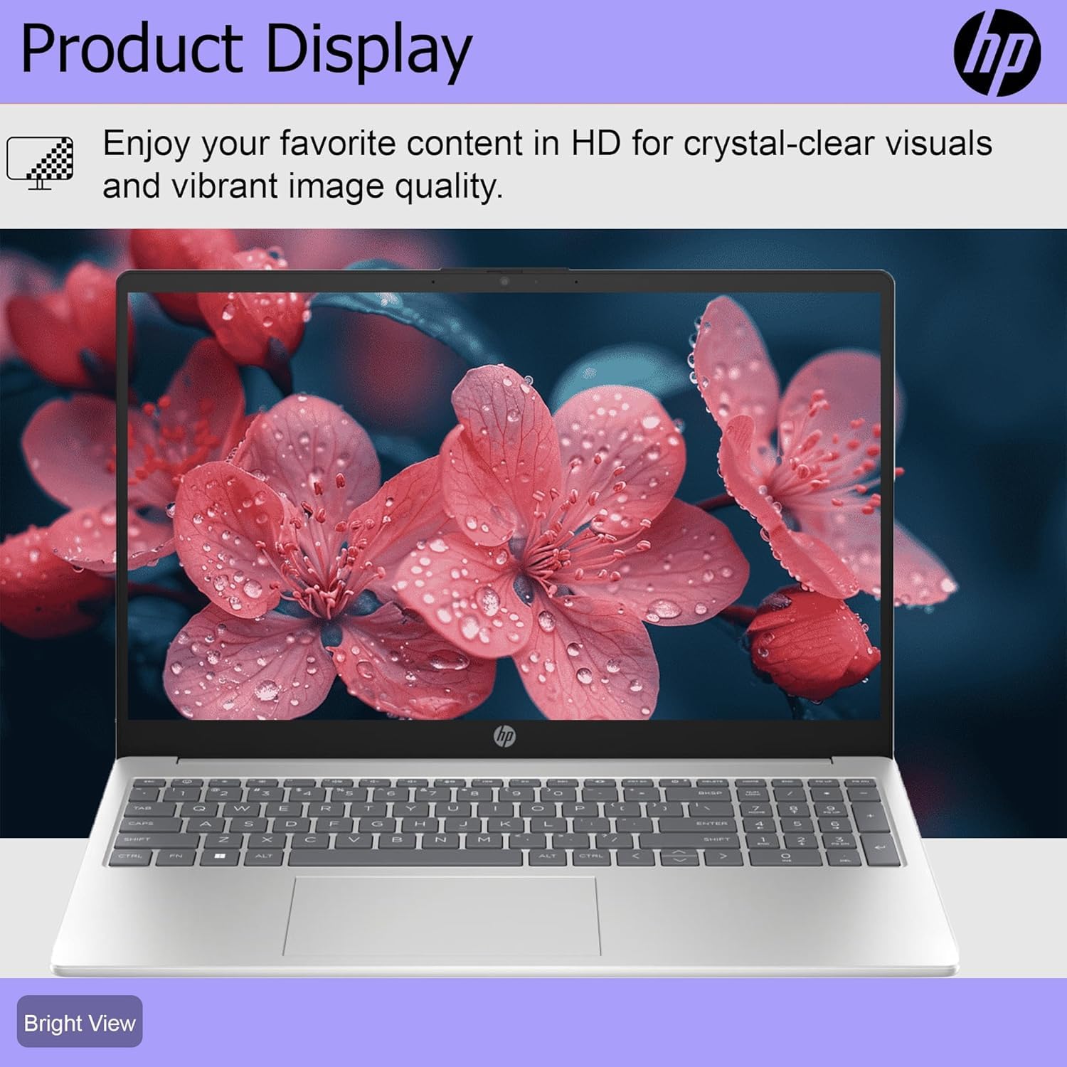 Hp 15.6 Inch, Intel 10-Core I5 Processor, Touch-Screen, 64Gb Ram, 1Tb Ssd, Ms Office Trial, Hdmi, Usb-C, Intel Iris Xe Graphics,