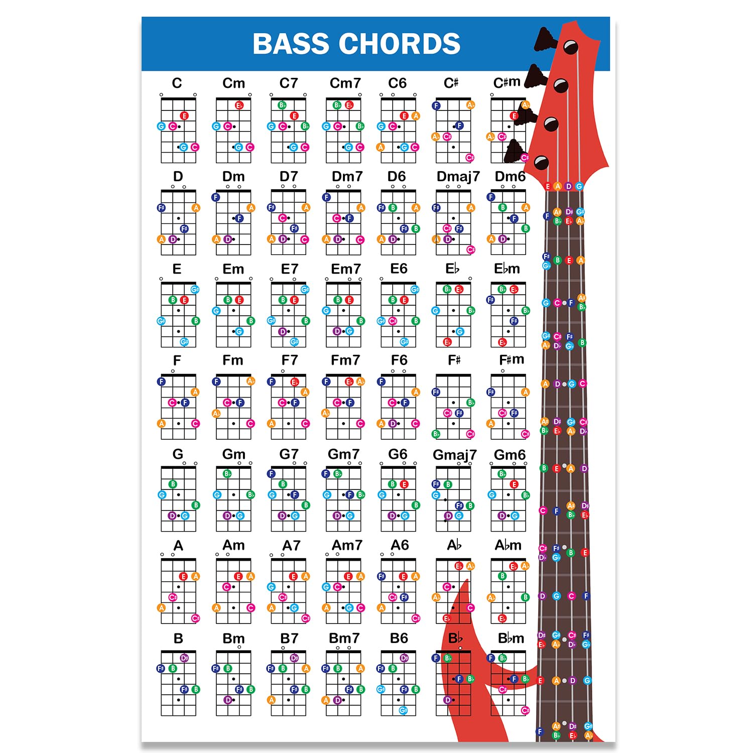 QMG Bass Guitar Chord Poster (11 x17 ), Bass Guitars Accessories, Laminated Bass Chord Chart, 49 Color Coded Chords, Beginner Ba