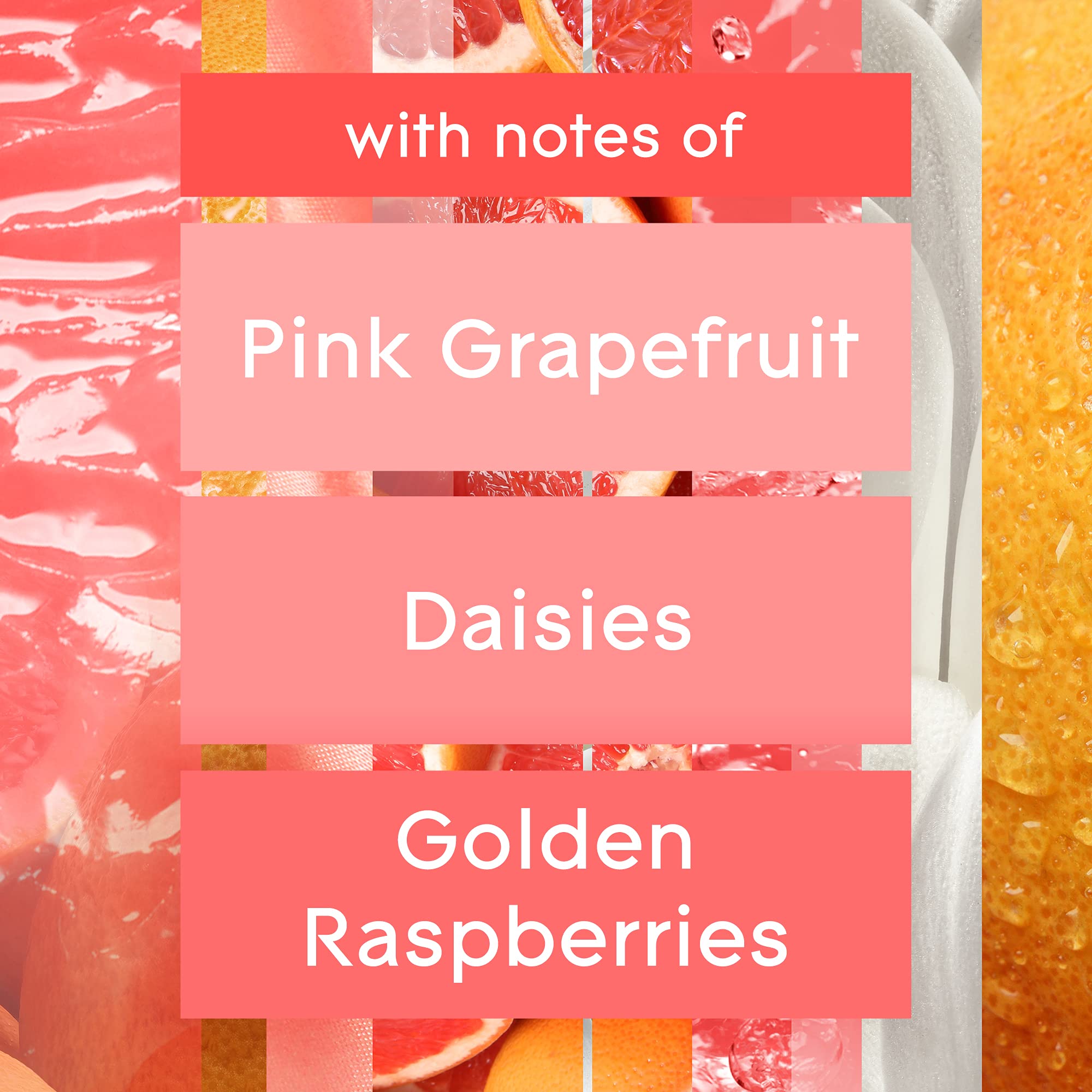 Glade Plugins Refills Air Freshener Starter Kit, Scented And Essential Oils For Home And Bathroom, Joyful Citrus & Daisies 4.02