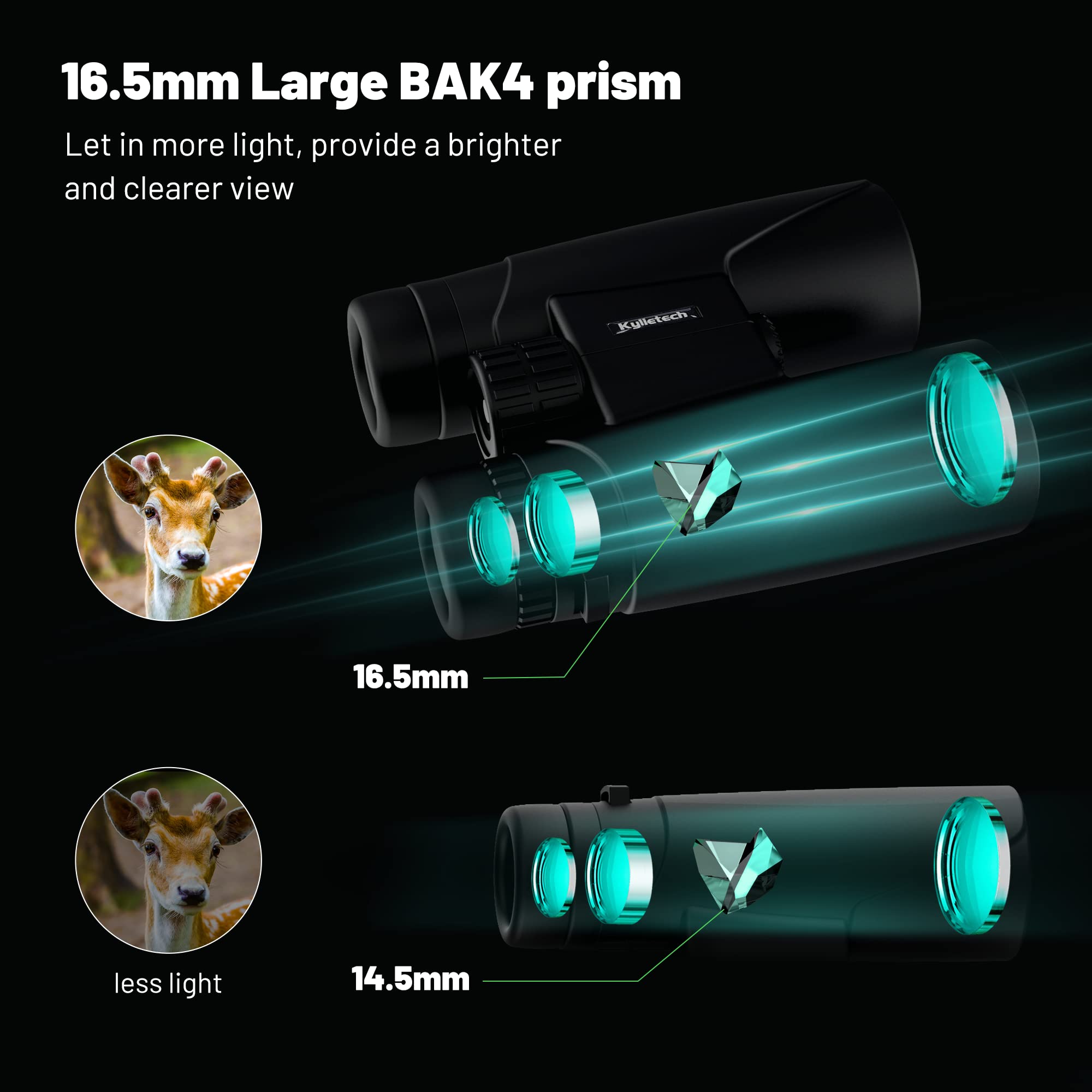 Kylietech 12X42 Binoculars For Adults With Universal Phone Adapter, Hd Waterproof Fogproof Compact Binoculars For Bird Watching,