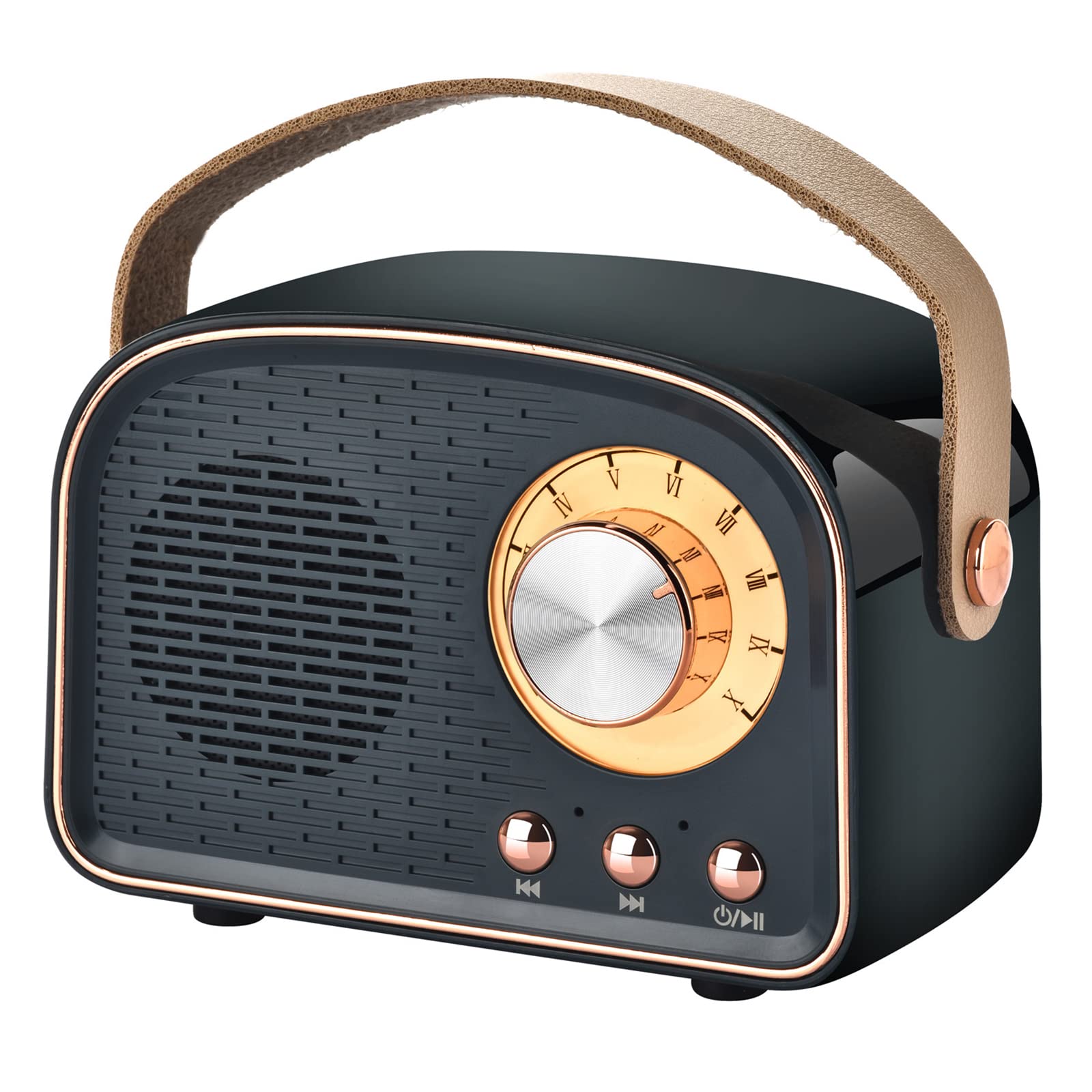 Aresrora Retro Bluetooth Speaker,Wireless Vintage Speaker,Outdoors Wireless Portable Bluetooth Speaker Supports Tws Pairing/U Di