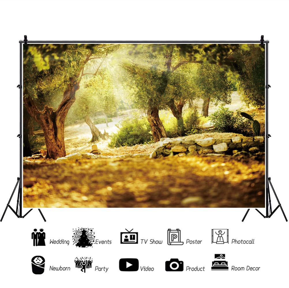 Leyiyi 10X7Ft Natural Scenery Backdrop Olive Trees Sunshine Wonderland Dreamy Haze Blurred Background Stone Natural Forest Lands