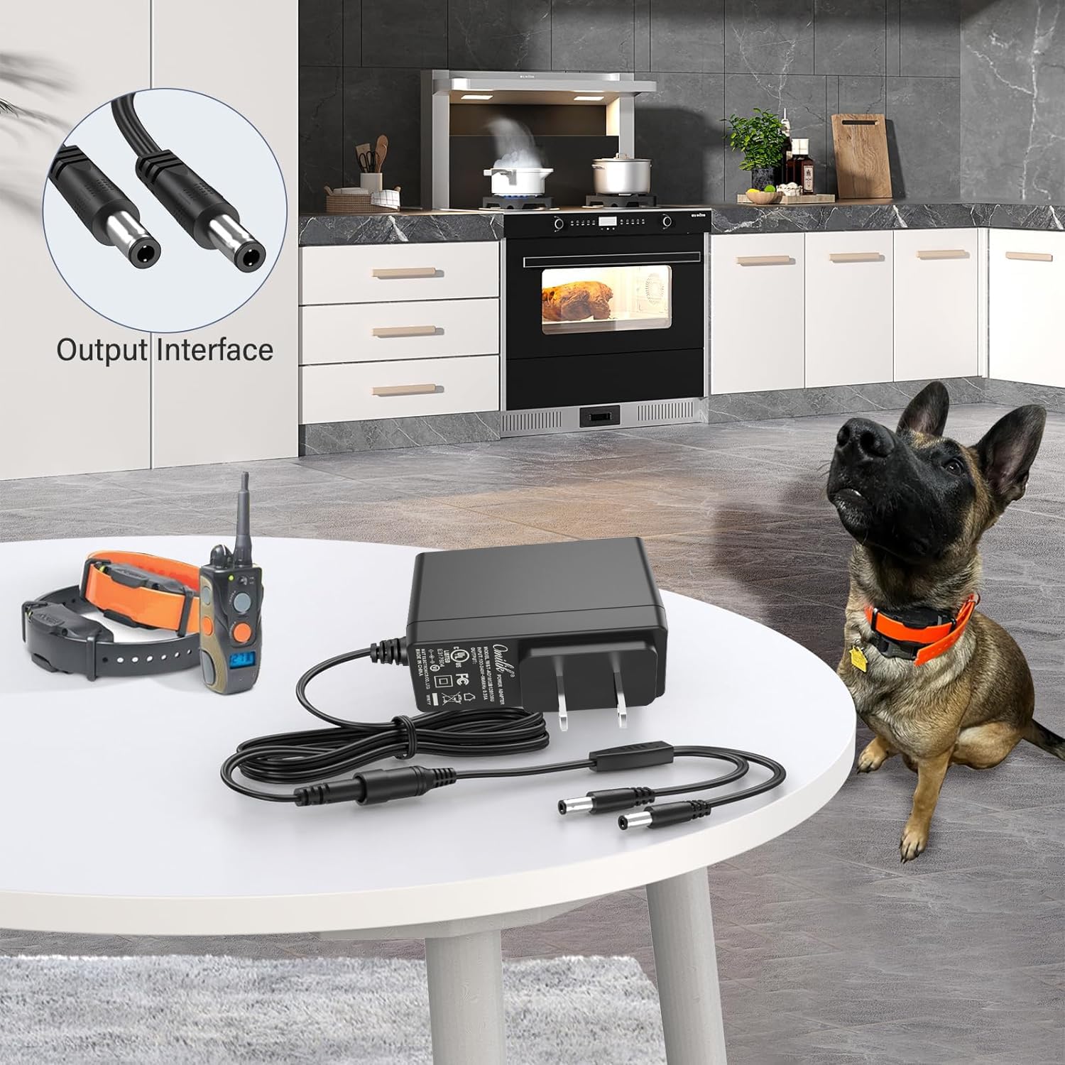 Upbright 10V Ac/Dc Adapter Compatible With Dogtra Super-X 3502Ncp Arc 1900S 1902S Edge 2300Ncp 2500T&B 3500Ncp Collar Hk-Aj-100A