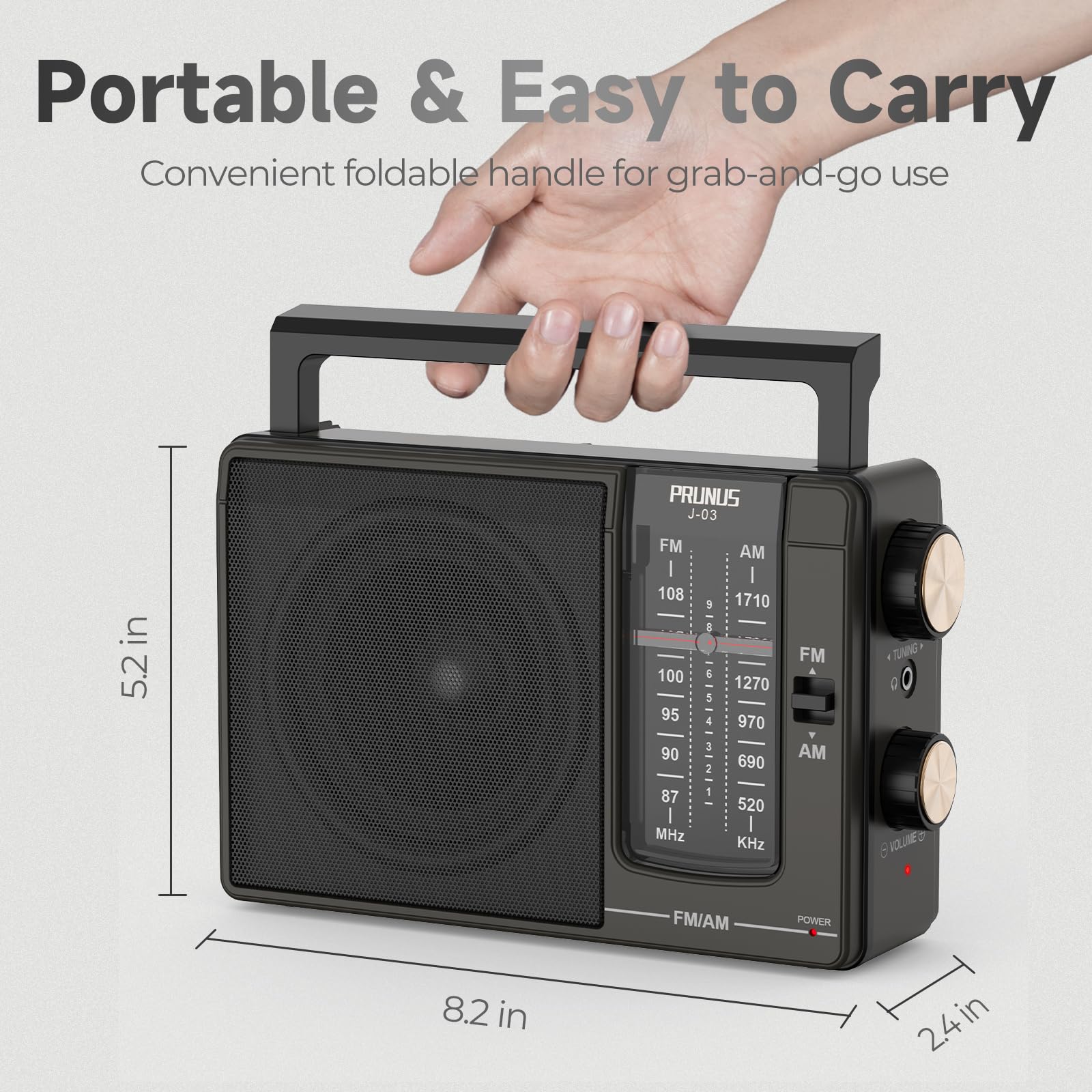 Prunus J-03 Am Fm Radio Portable Plug In Wall Or Aa Battery Operated For Home/Outdoor, Large Speaker Excellent Sound, Excellent