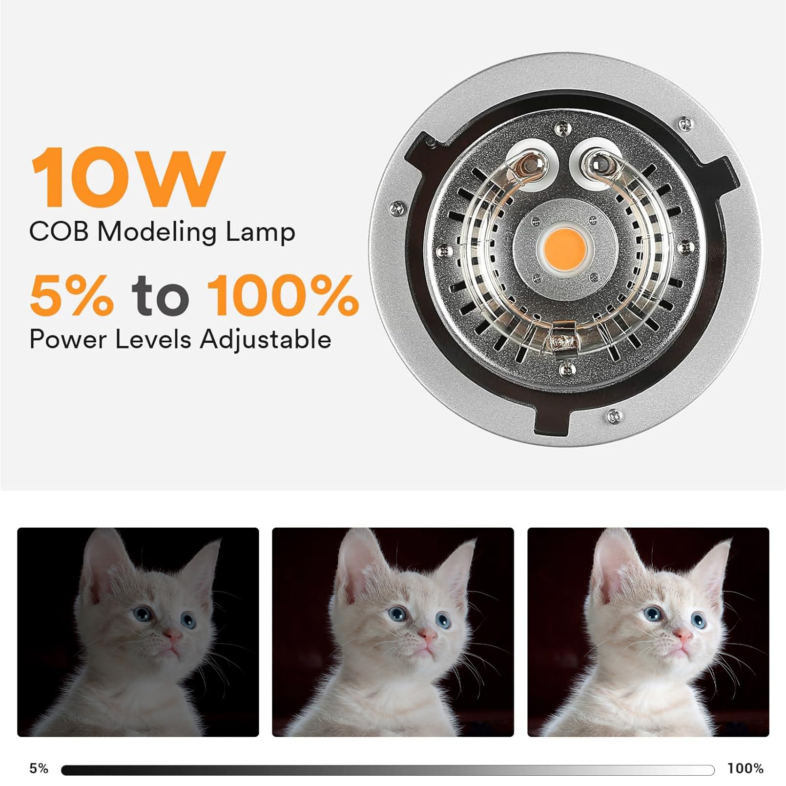 Godox Ms200V Ms200 V Studio Strobe Flash Light, 200W 110V 2.4G Compact Photography Flash, 10W Led Modeling Lamp, Bowens Mount Mo