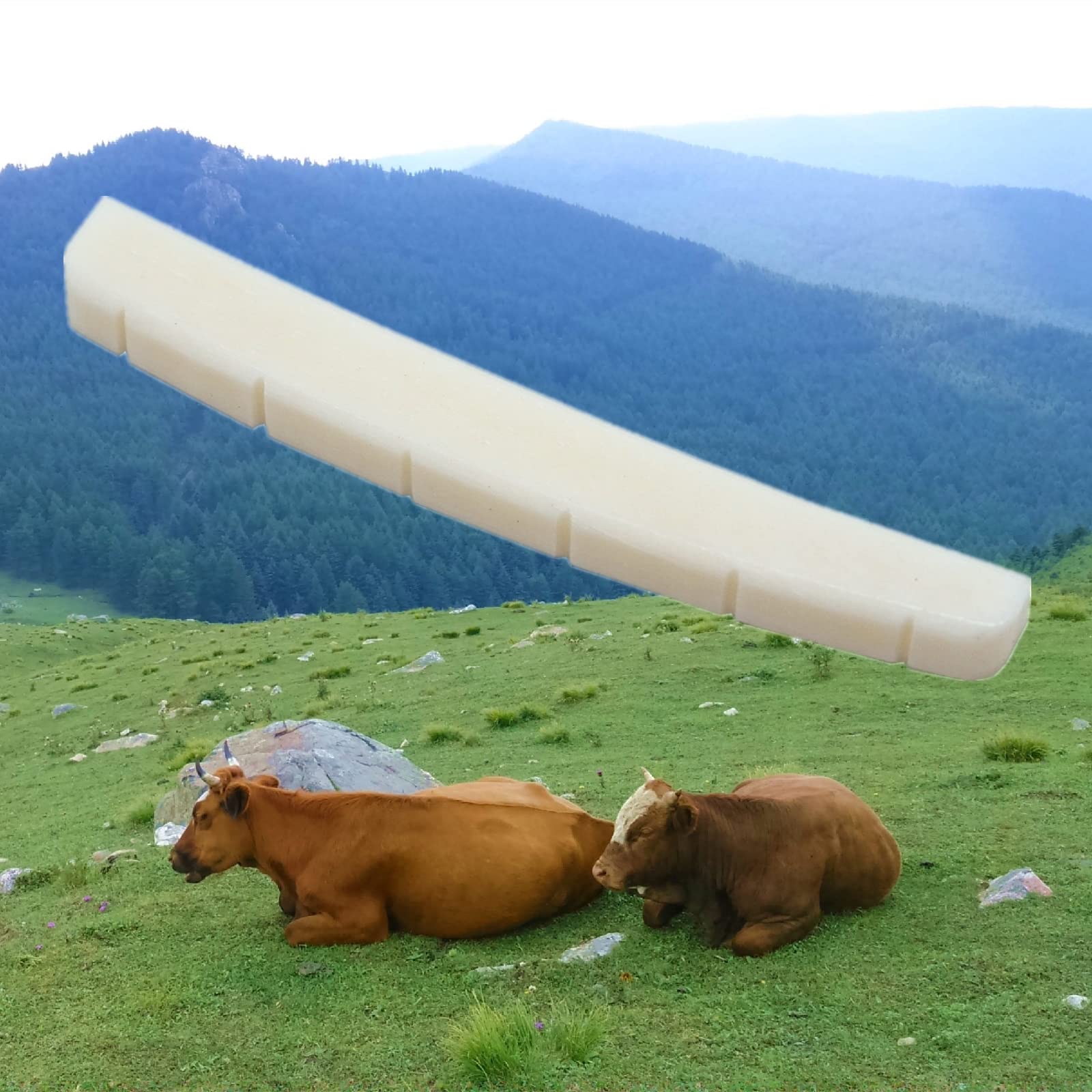 Miwayer 6 String Electric Guitar Bone Nut Curved Bottom Pre Slotted Made Of Real Bone (43 X 3.2 X 5/5.65/4.6Mm 1 Pack)