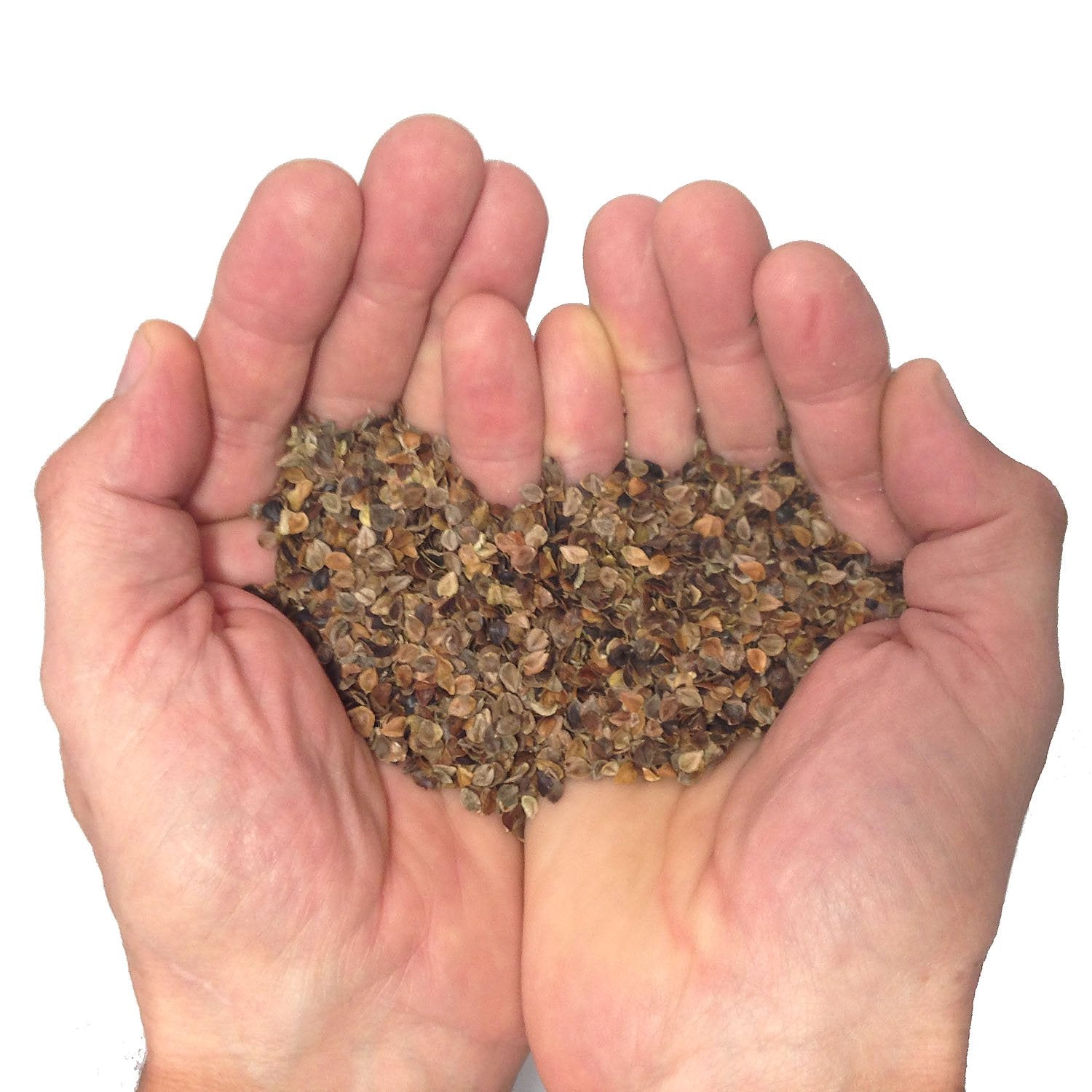 Kinesis Safarisack 1.4 (Black/Buckwheat Filled W/ Y208 Strap)