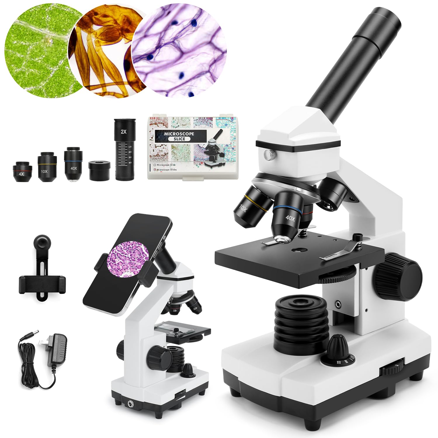 Microscope For Adults Kids, Dcorn 100X 2000X Powerful Biological Microscopes For School, Home, And Lab Use, Includes Microscope