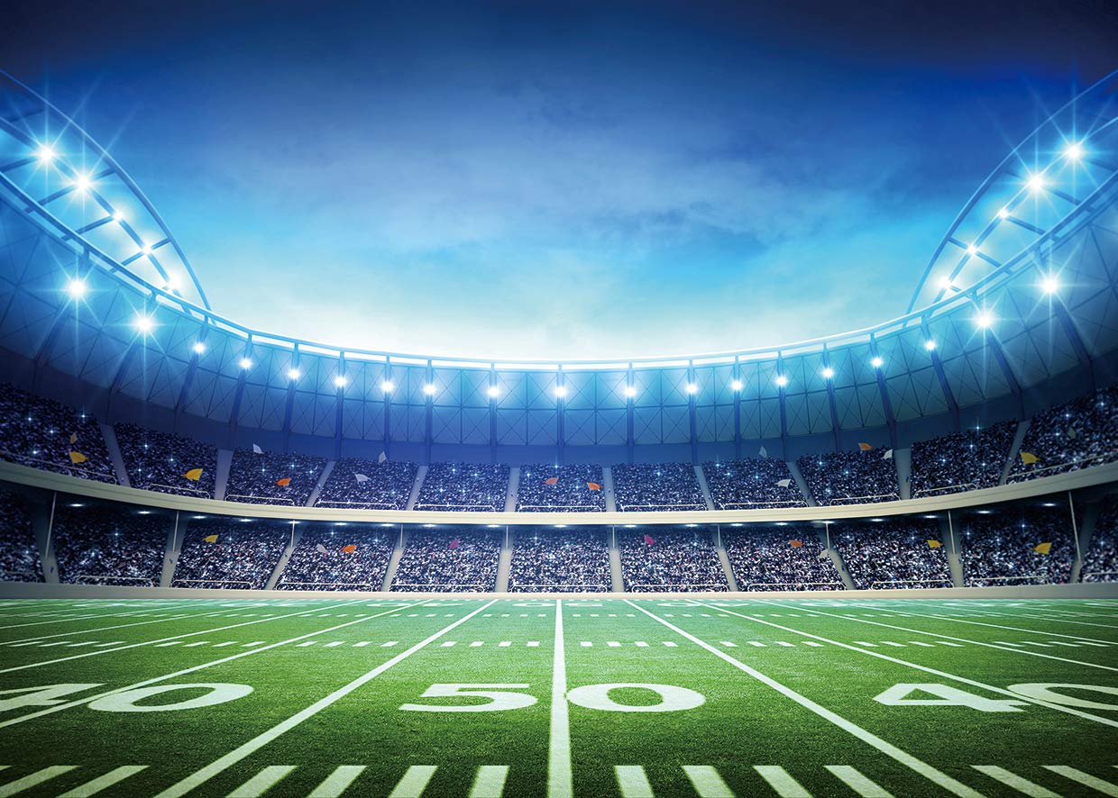 Sjoloon Football Field Backdrop - Thumbnail 2