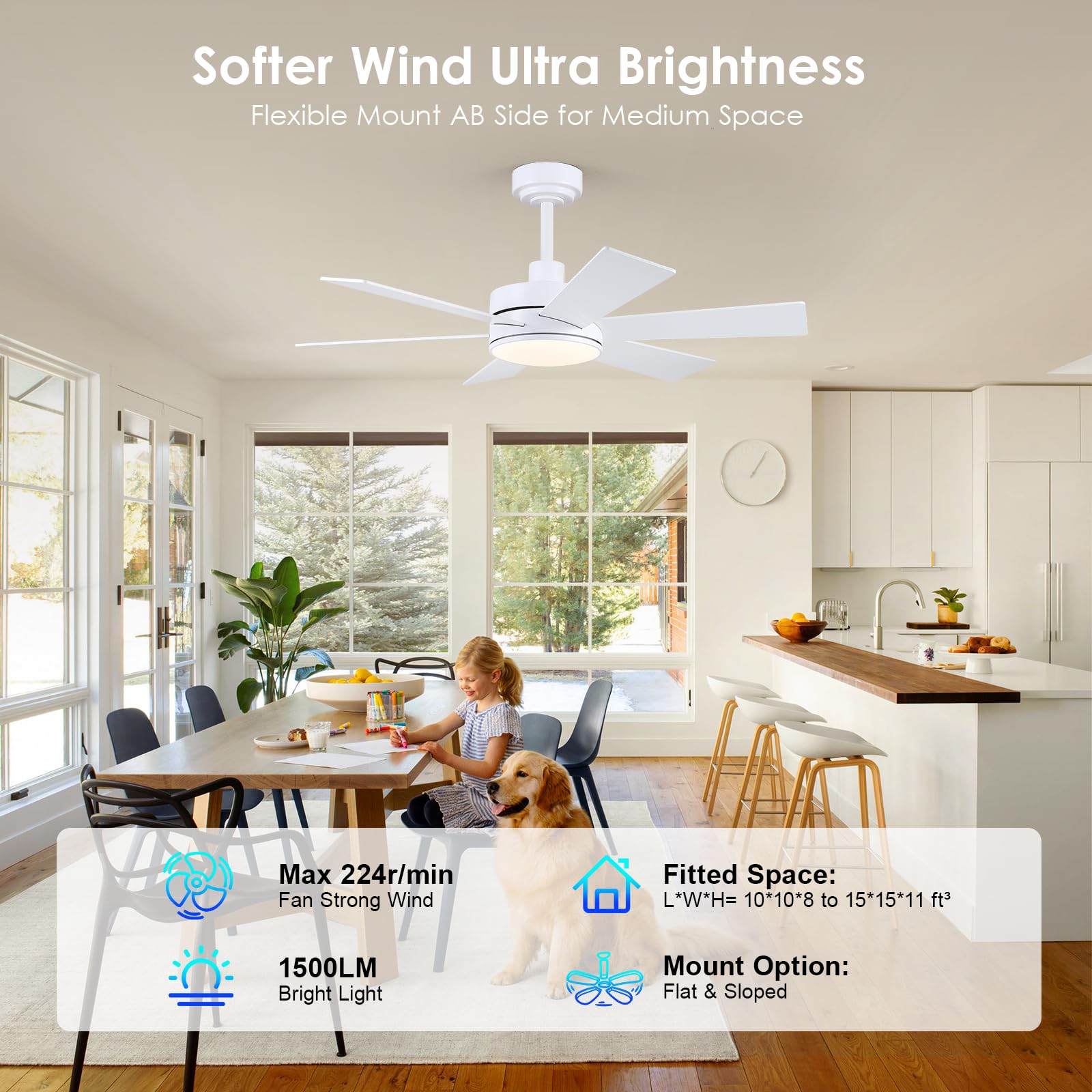 42 Inch Ceiling Fans With Lights, Ceiling Fan With Remote App, Dual Sided Modern/Rustic 6 Blades, Reversible, 3Cct, Sloped Flush