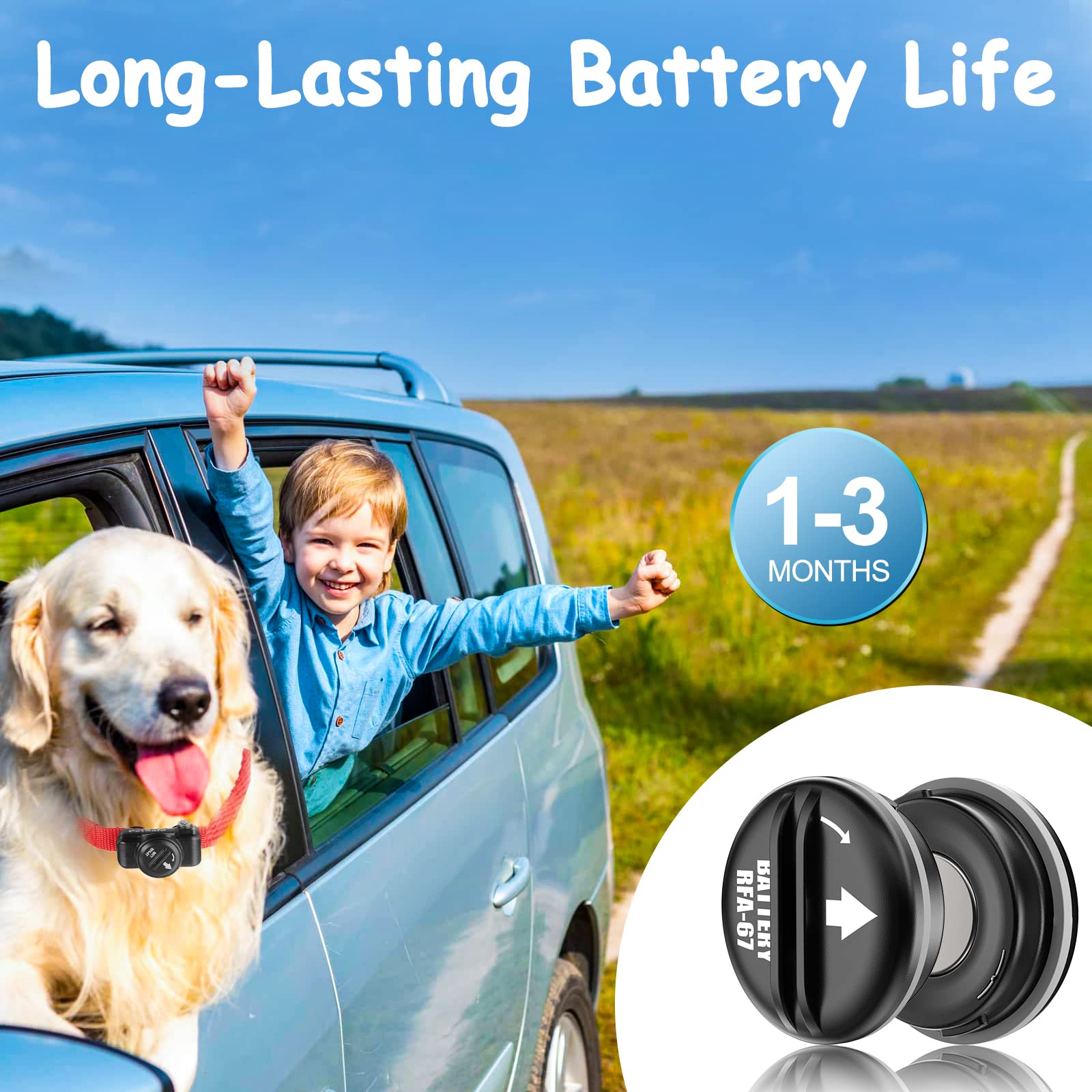 10Pack Rfa-67 6V Replacement Dog Collar Batteries For Pif-300 Pif-275-19 Pul-275 Pif00-15002 Pbc-102 Zig00-16969, Compatible Wit