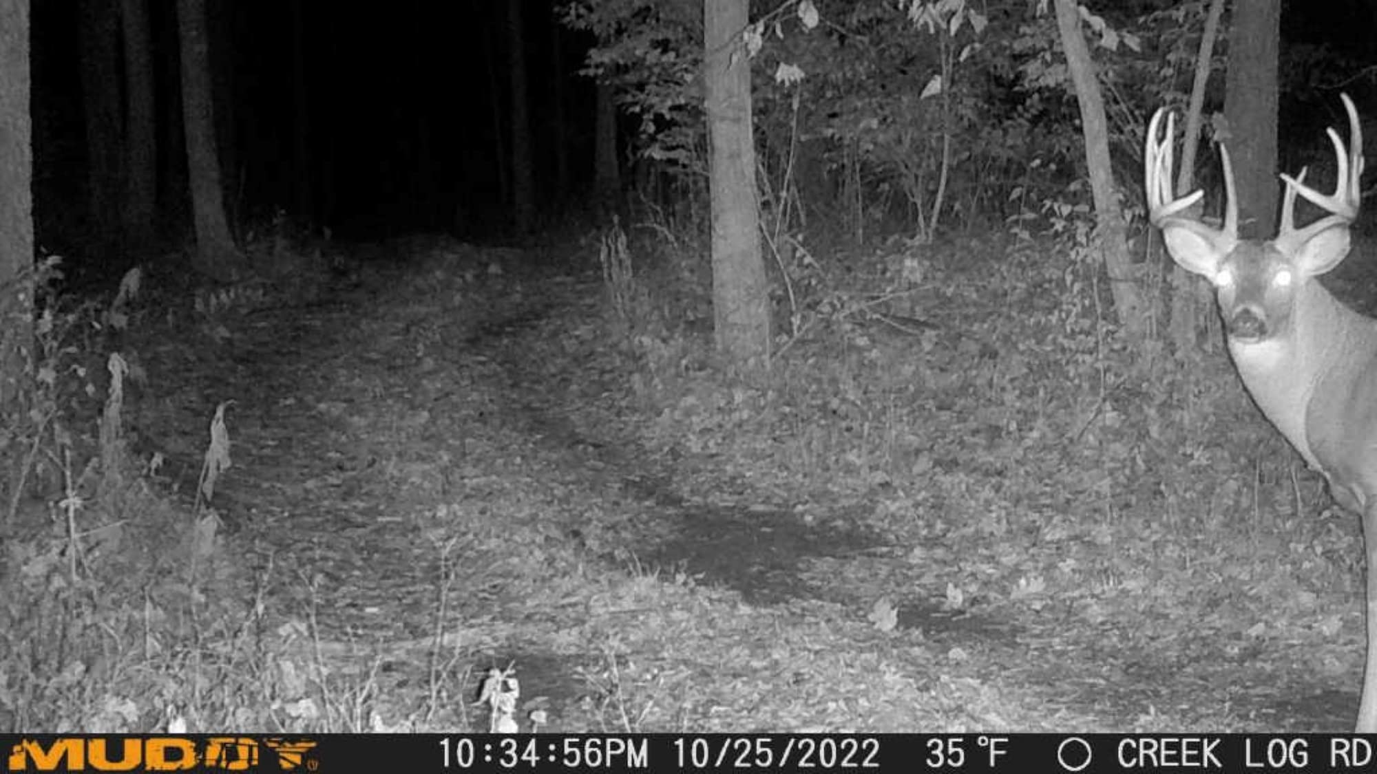 Muddy Mitigator Cellular 24Mp Imaging Trail Camera With 80 Feet Detection And Flash Range And 0.7 Second Trigger Speed