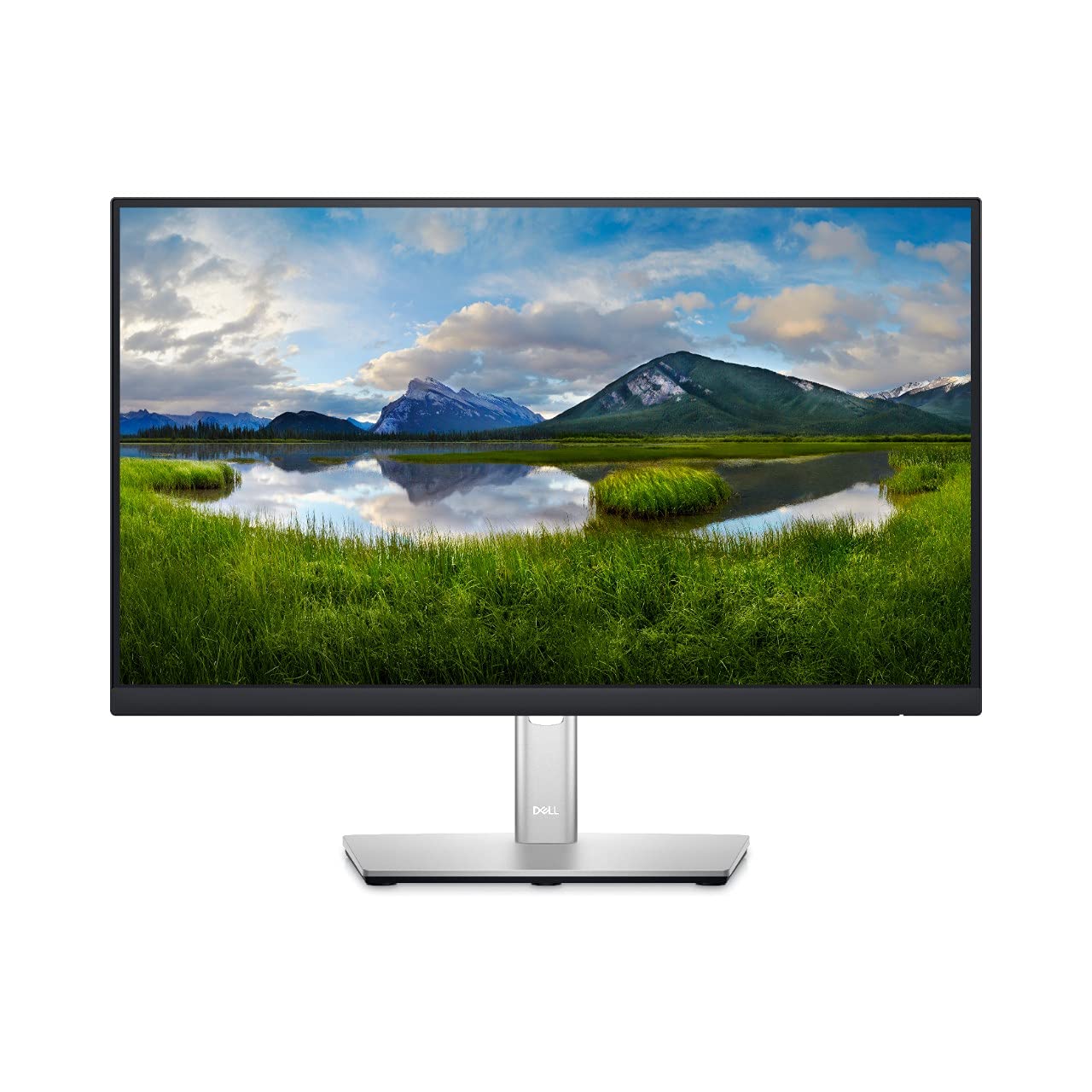 Dell 22 Monitor  P2222H  Full HD 1080p, IPS Technology