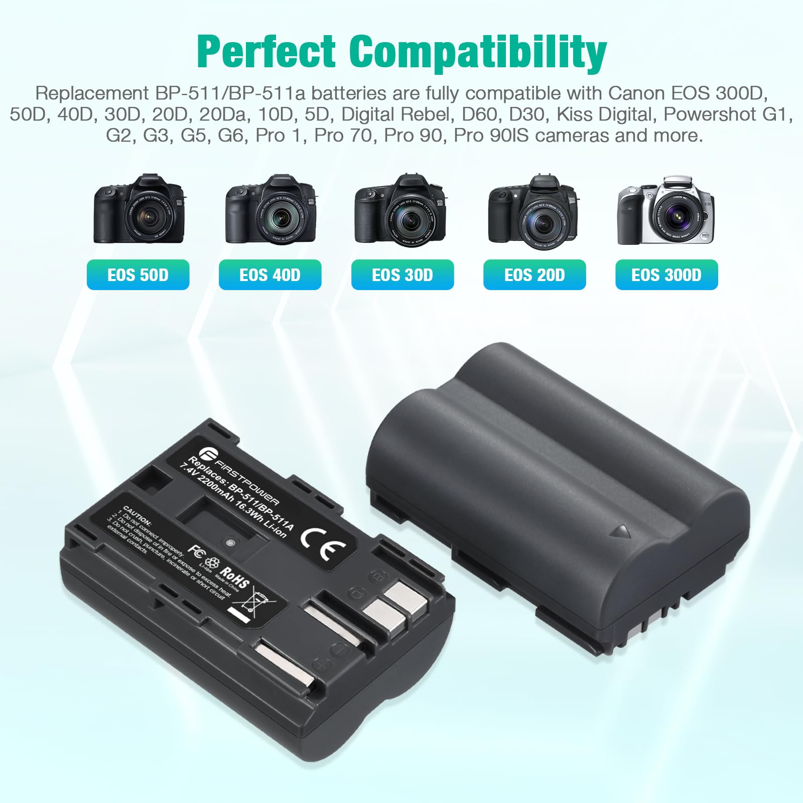FirstPower BP-511 BP-511a Camera Battery 2-Pack 2200mAh & Dual USB Charger Black for Canon EOS 5D 10D 20D 30D 40D 50D