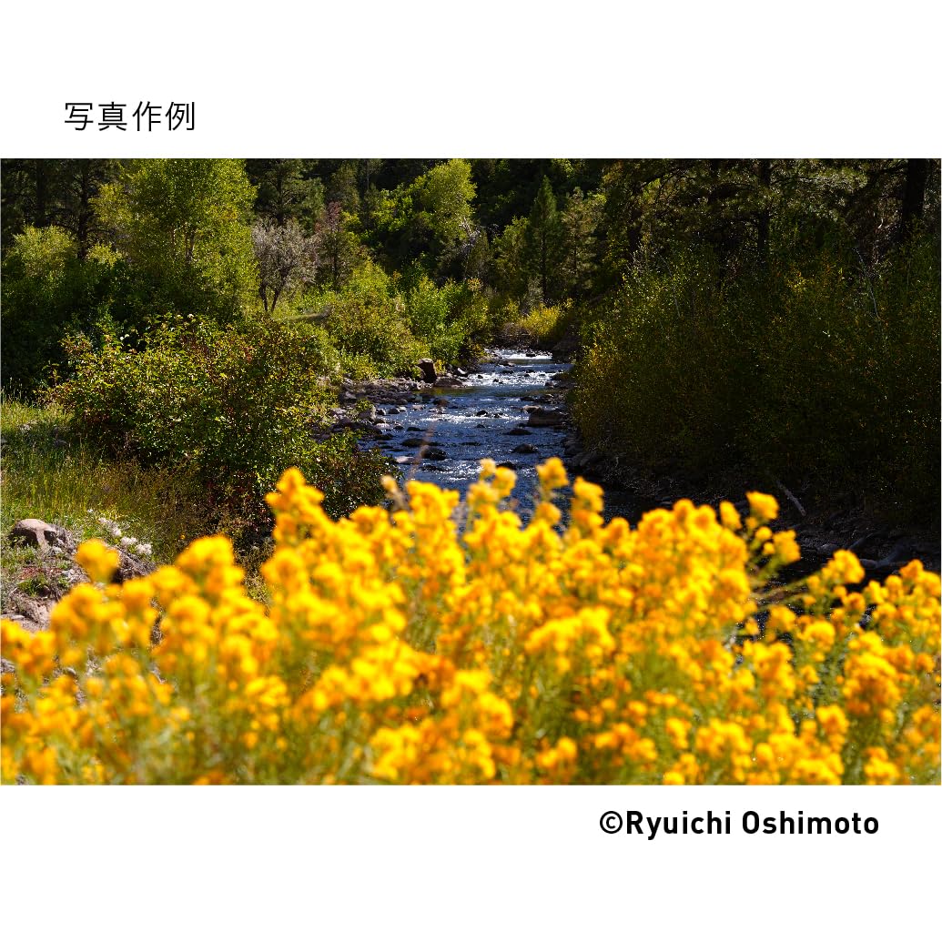 Sigma 28-70Mm F2.8 Dg Dn For Sony E Black