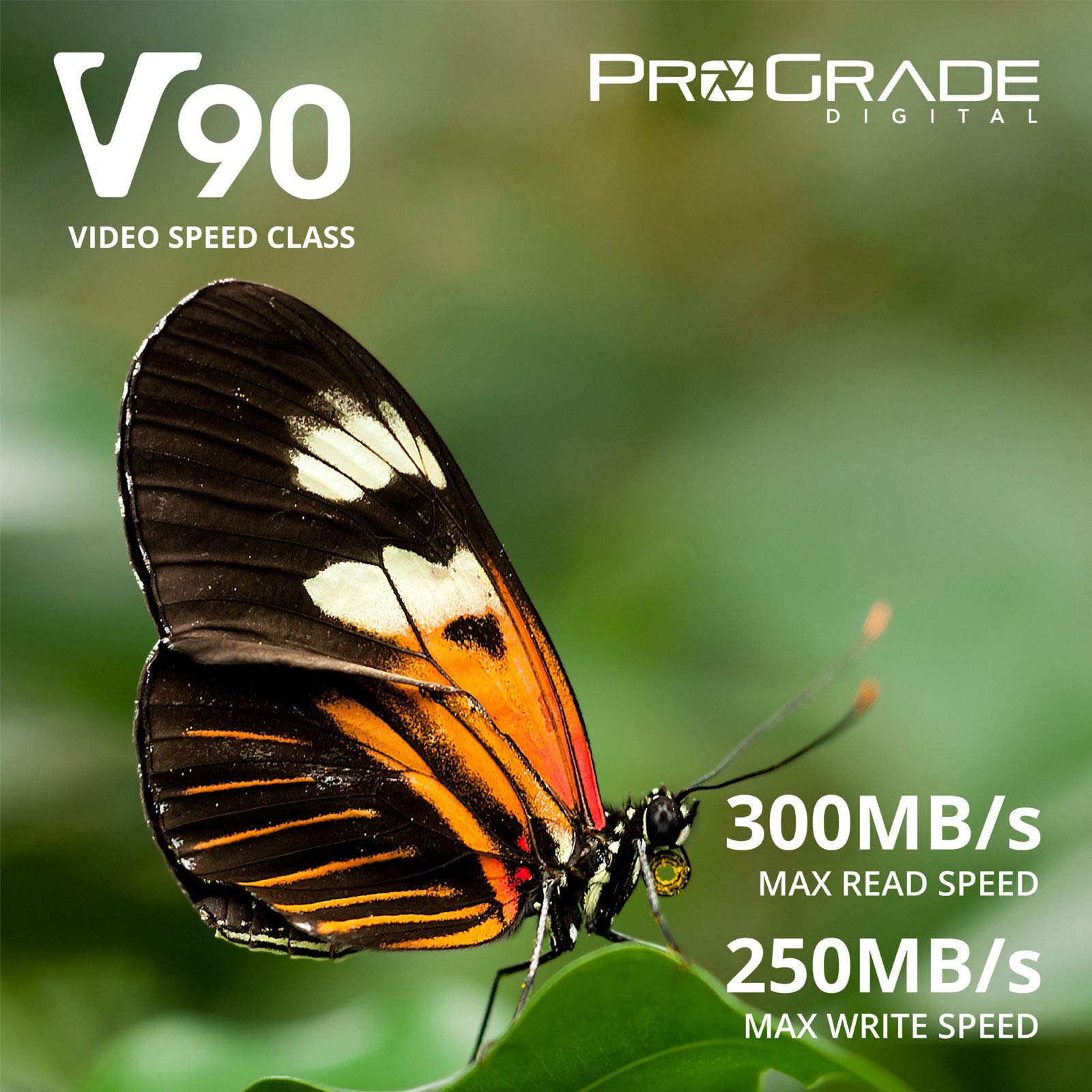 Prograde Digital Sdxc Uhs-Ii V90 300R Memory Card (64Gb)