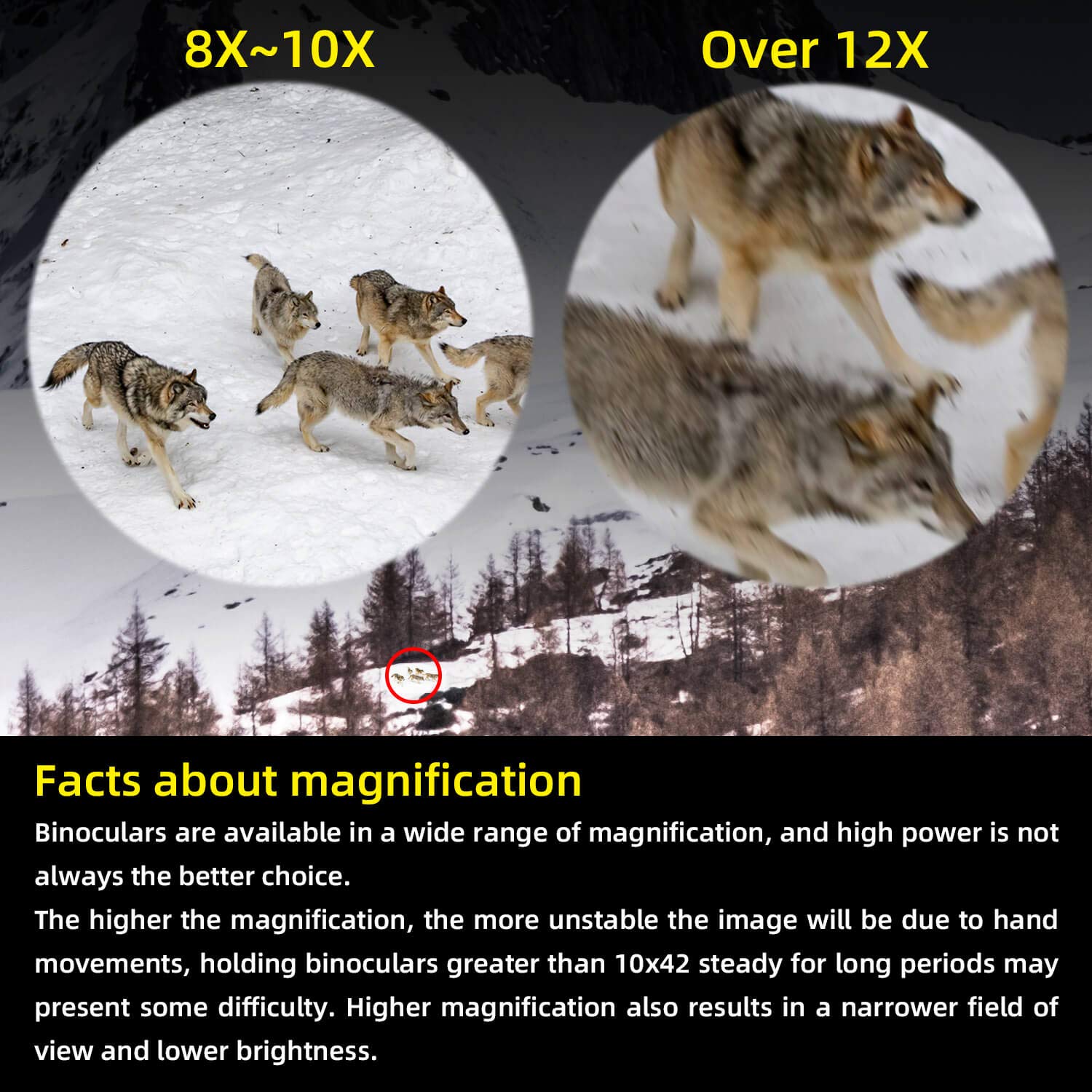 Eyeskey Bird Watching Binoculars For Adults Compact | Waterproof Fog Proof Binoculars For Outdoor Games Hunting | Clear Low-Ligh