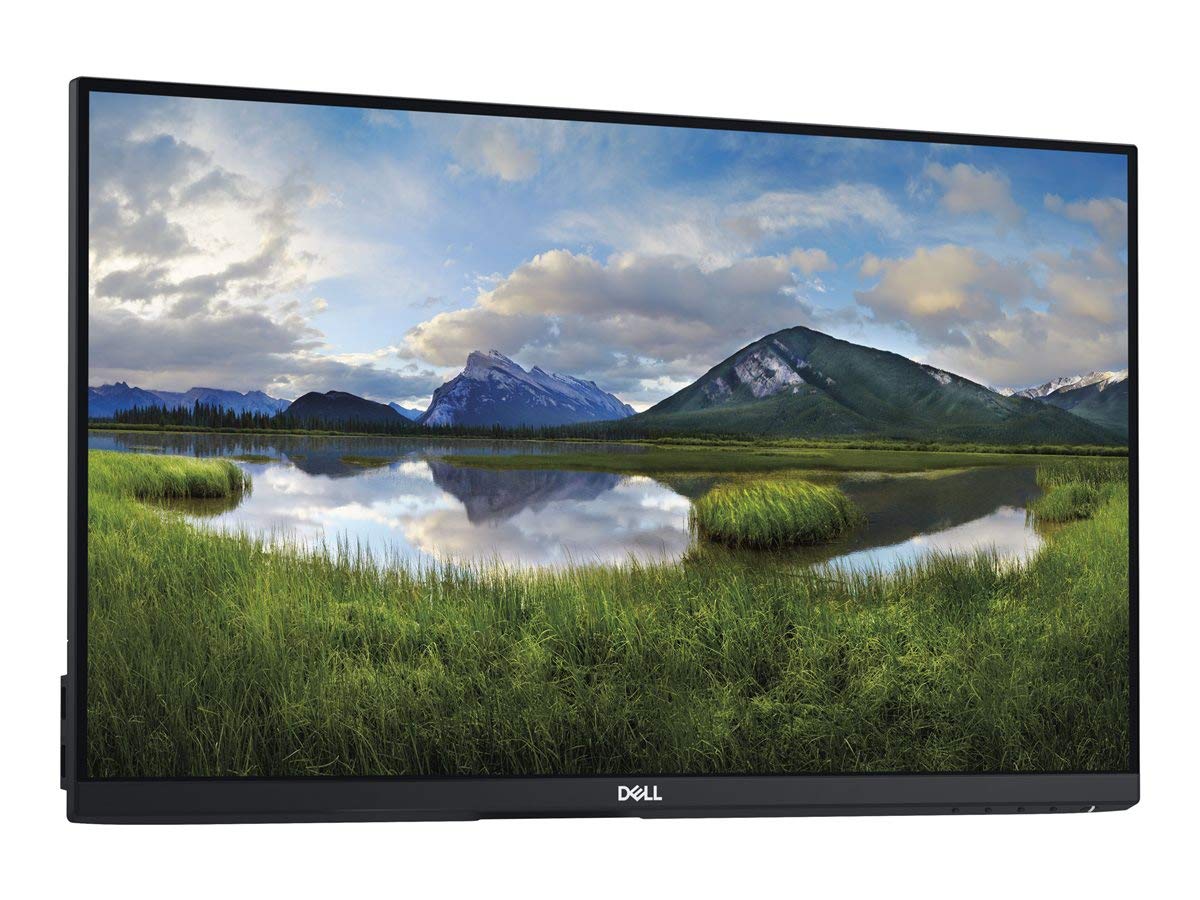 Dell P2419H 24-Inch Computer Monitor HD LED Display - Flat Matt Black