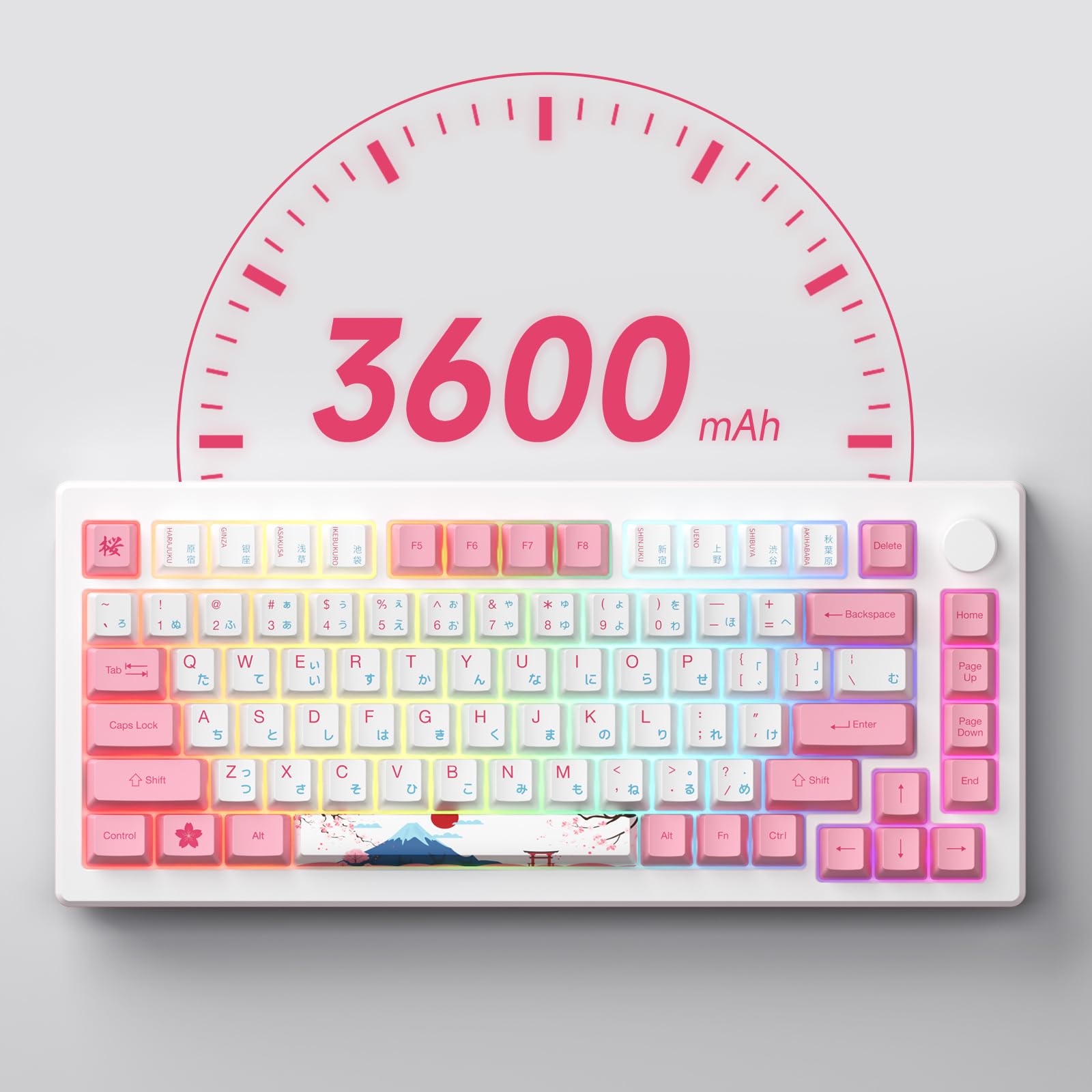 Akko Magnetic Switches Rapid Trigger Gaming Keyboard, Mod007B Pc World Tour Tokyo Wired/Wireless 75% Mechanical Keyboard With Kn