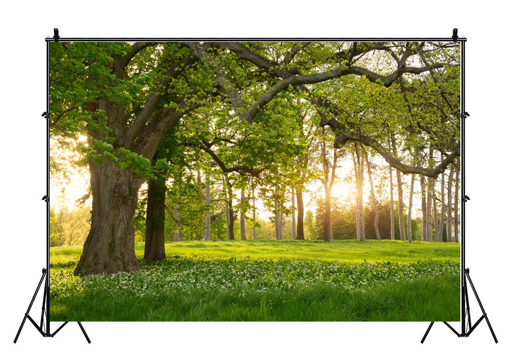 Leowefowa 7X5Ft Spring Backdrop Rural Forest Trees Backdrops For Photography Blooming Flowers Green Grassland Nature Vinyl Photo
