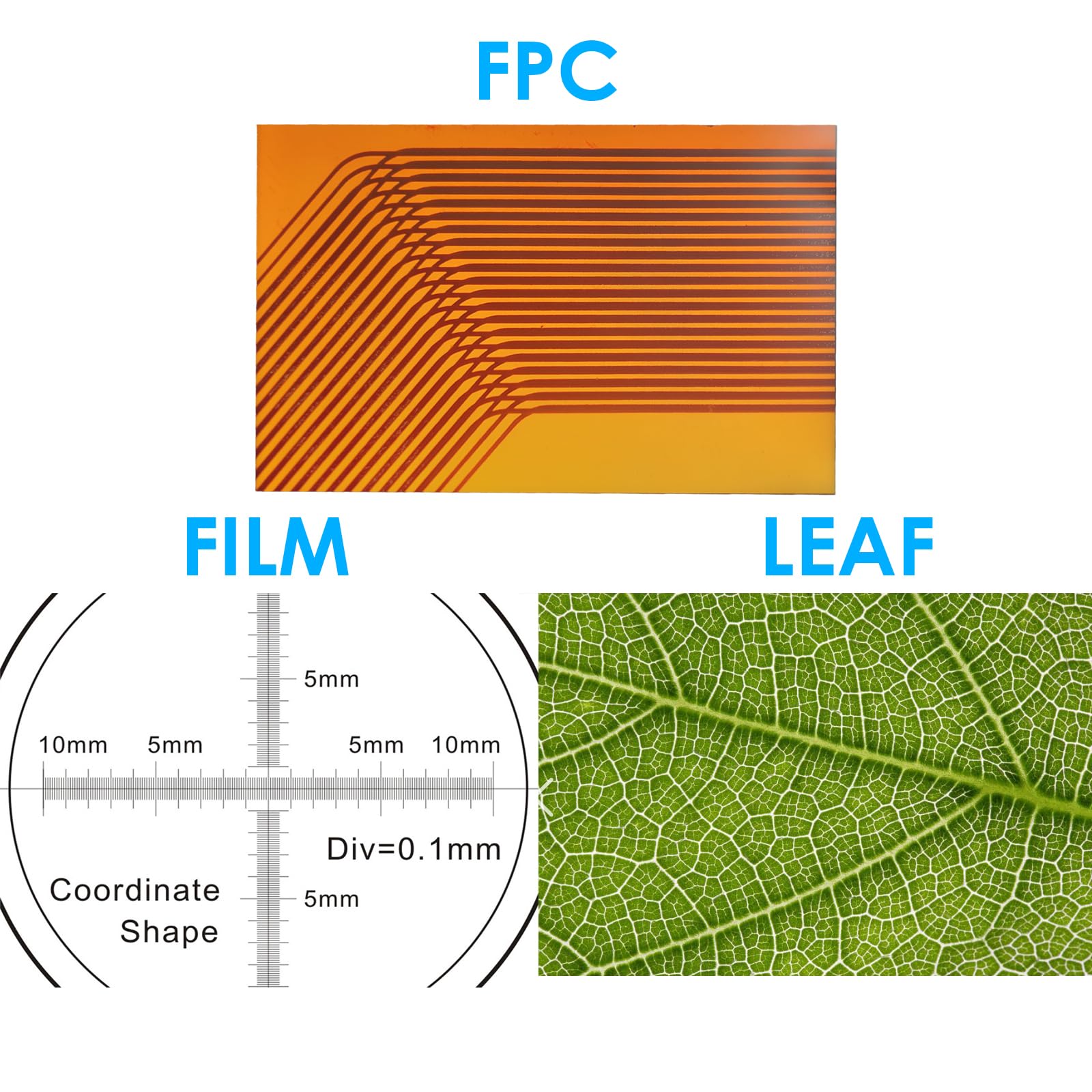 Microscope Light Illuminators Led Microscope Light Source Usb For Laboratories (Temperture Ajustable)