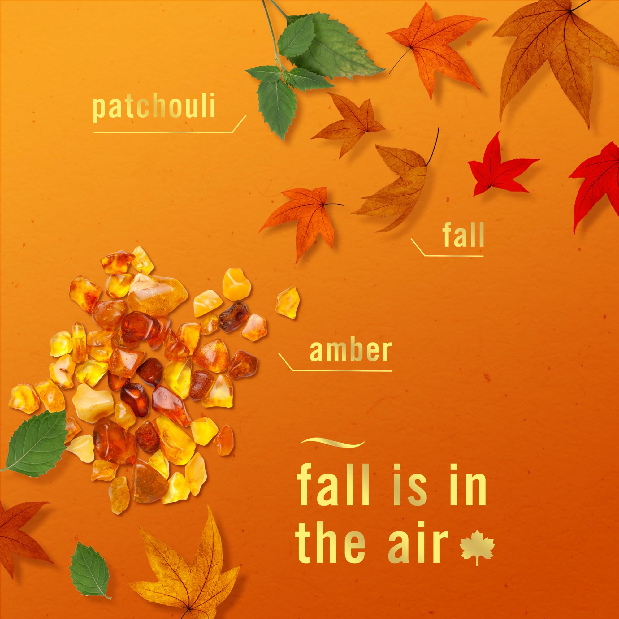 Febreze Plug In Air Freshener, Odor Fighting Scented Oil Refill, Air Fresheners For Home And Bathroom And Kitchen, Long Lasting