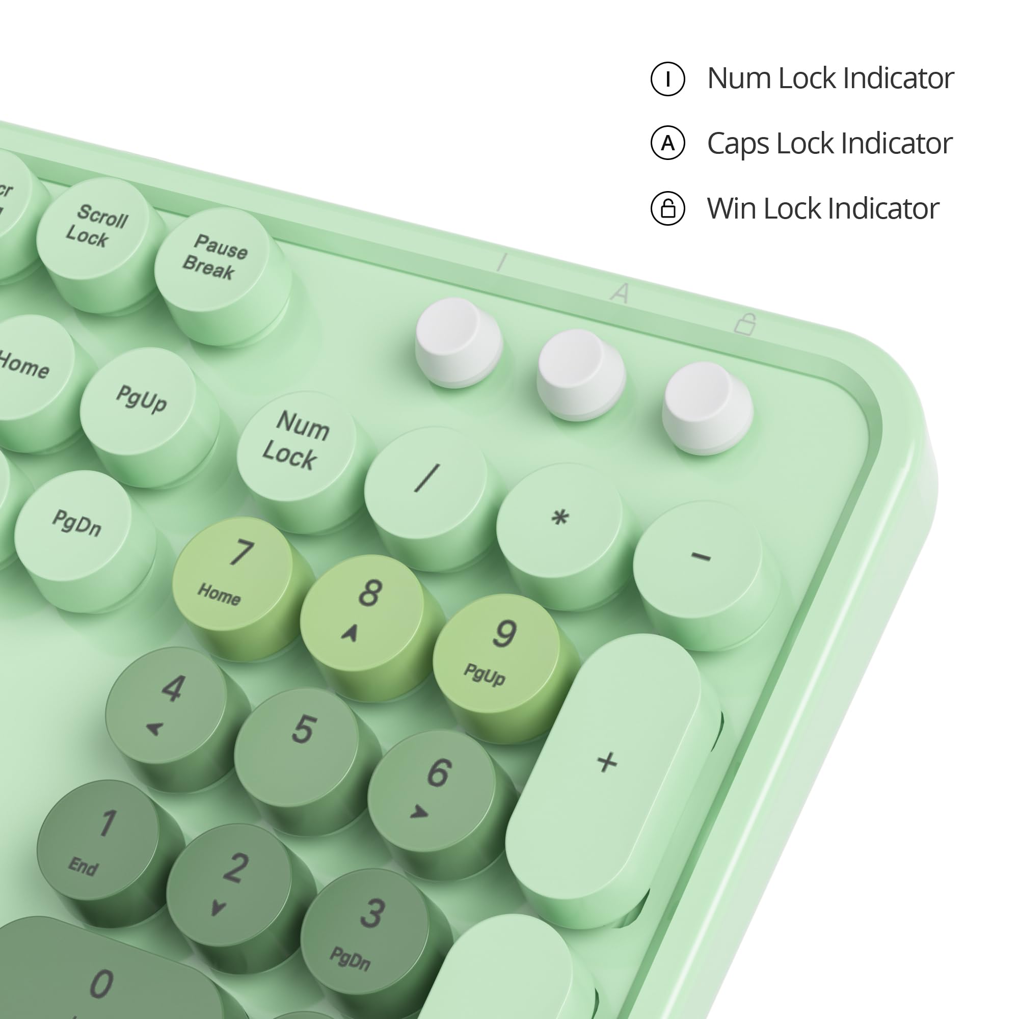 Owpkeenthy Typewriter Green Cute Keyboard With Floating Round Keys, Full Size Wired Retro Keyboard Click Feeling With Foldable S