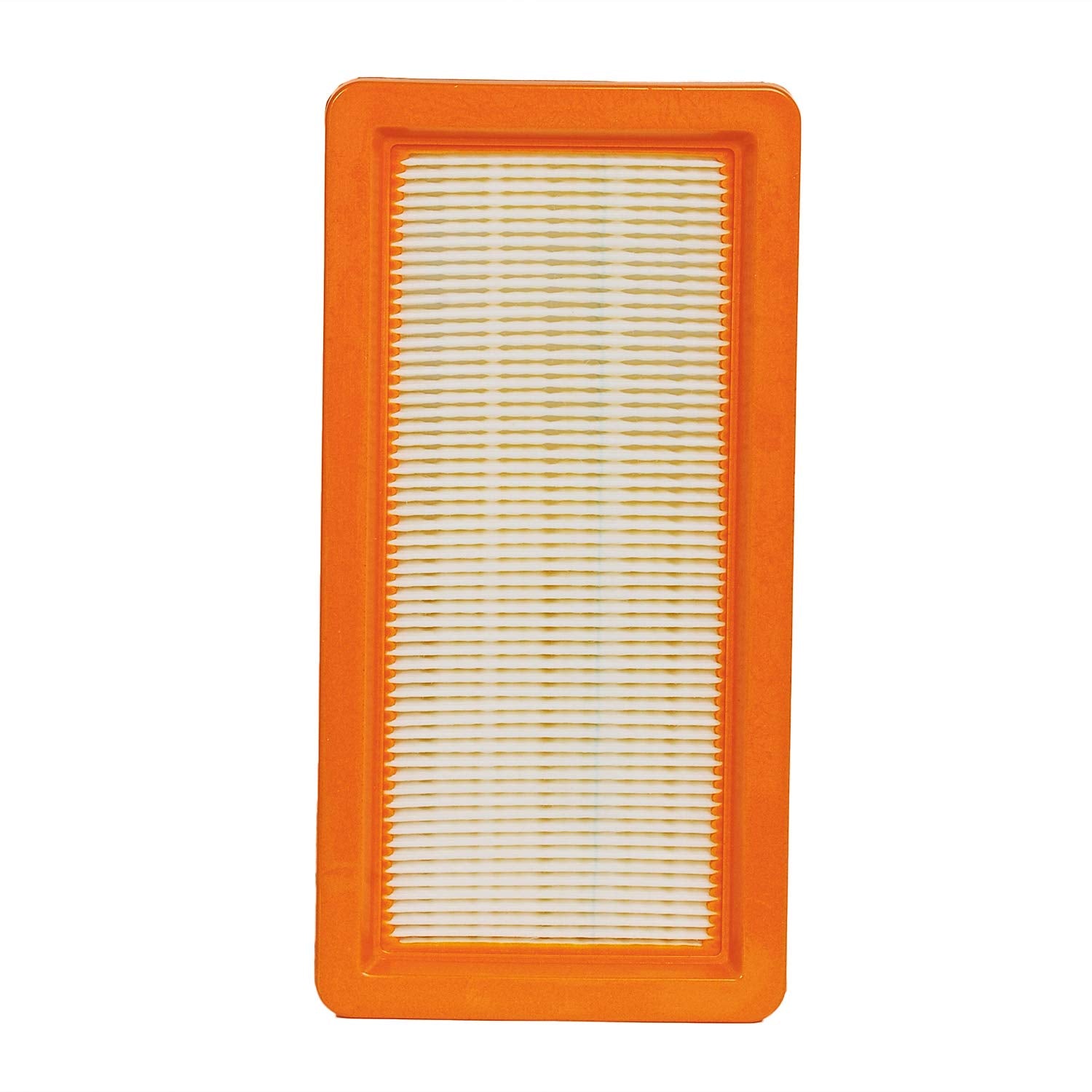 Hifrom Vacuum Cleaner Replacement Air Filter For Karcher Ds5500 Ds5600 Ds5800 Ds6000 Vacuum Cleaner Accessery (2 Pack)