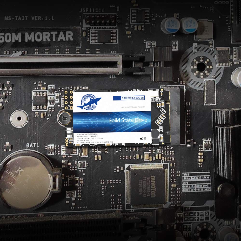 Dogfish Ssd Sata M.2 2242 250Gb Ngff Internal Solid State Drive High Performance Hard Drive Desktop Laptop Sata Iii 6Gb/S (M.2 2242, 250Gb)