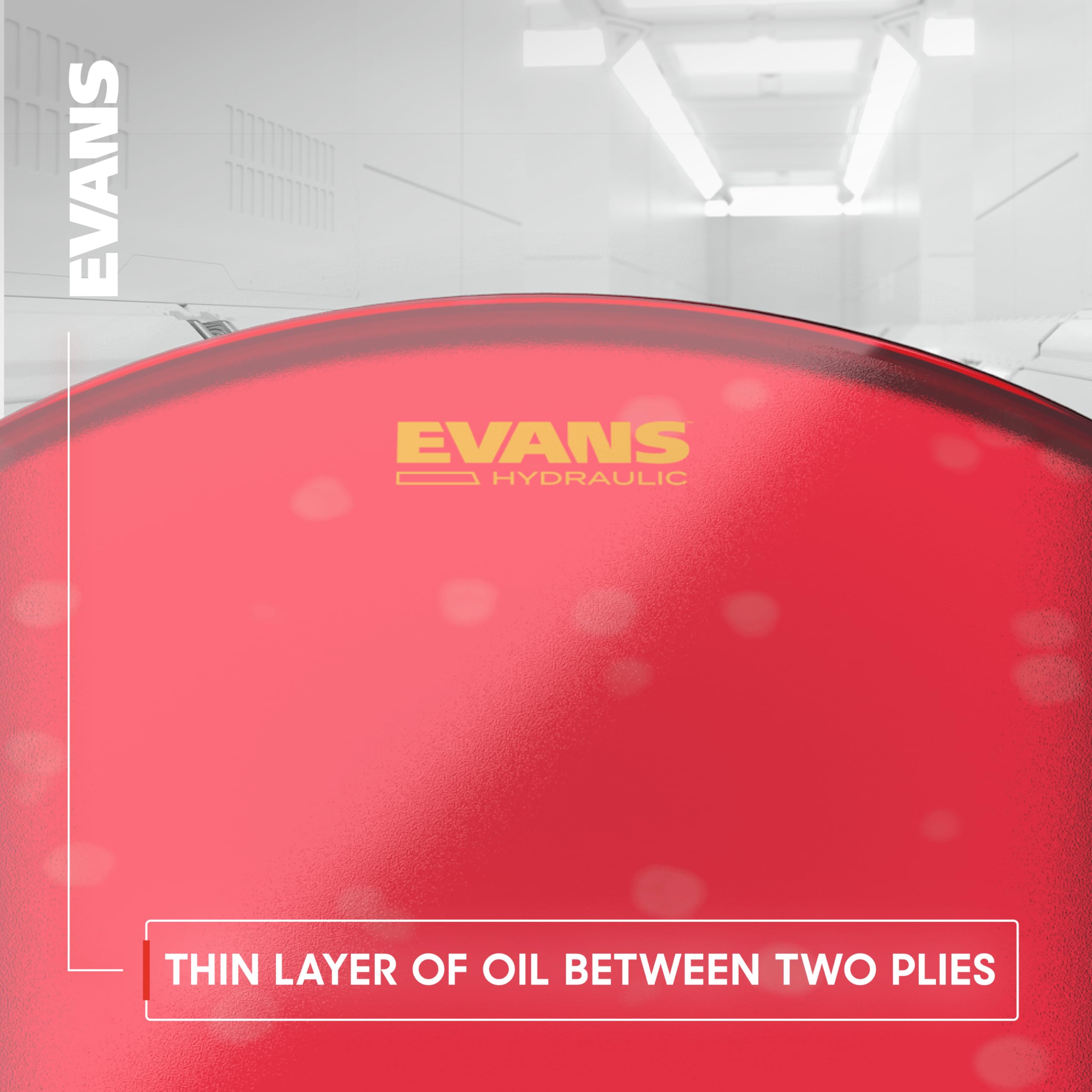 Evans Hydraulic Drum Heads   Tt14Hb   Drum Head With Layer Of Oil   Supresses Unwanted Overtones   Ideal For Rock, Metal, & Funk
