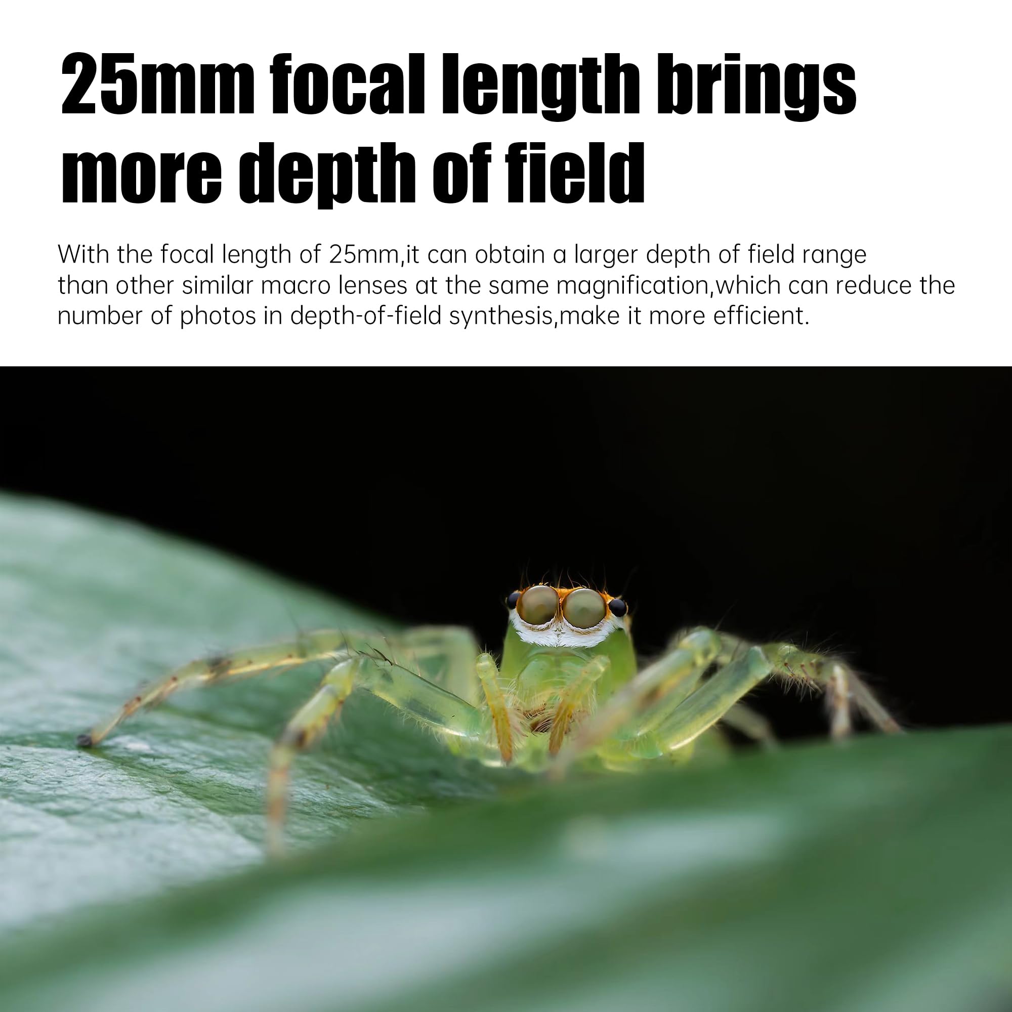 Astrhori 25Mm F2.8 2X 5X Ultra Macro Lens Full Frame Manual Focus Compatible With Leica/Panasonic/Sigma L Mirrorless Cameras S1,