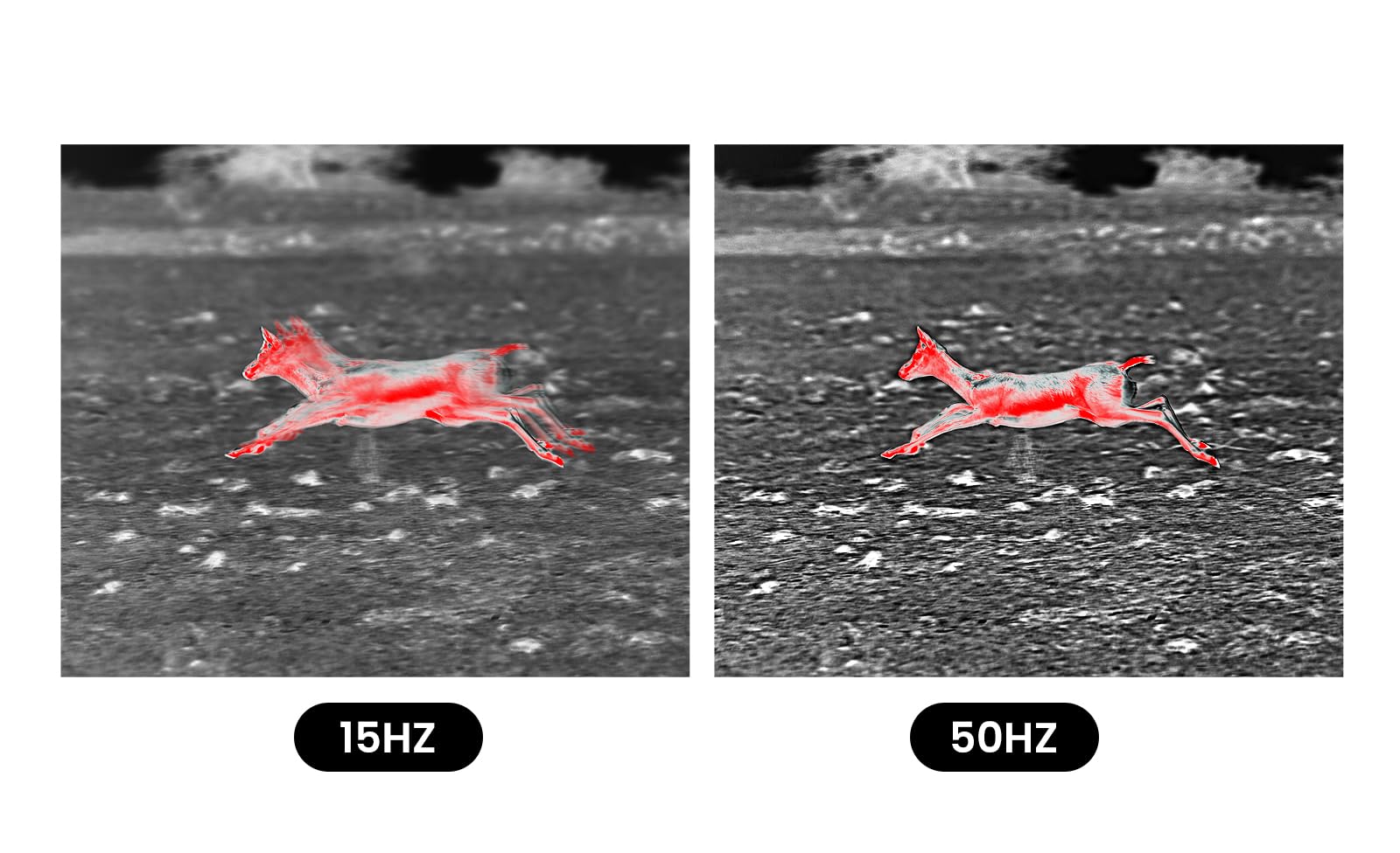 Mileseey Thermal Monocular T-Recon Tactical, 25Mm 384X288 (50 Hz) Tnv30 Thermal Imaging Monocular Night Vision For Hunting, Oled